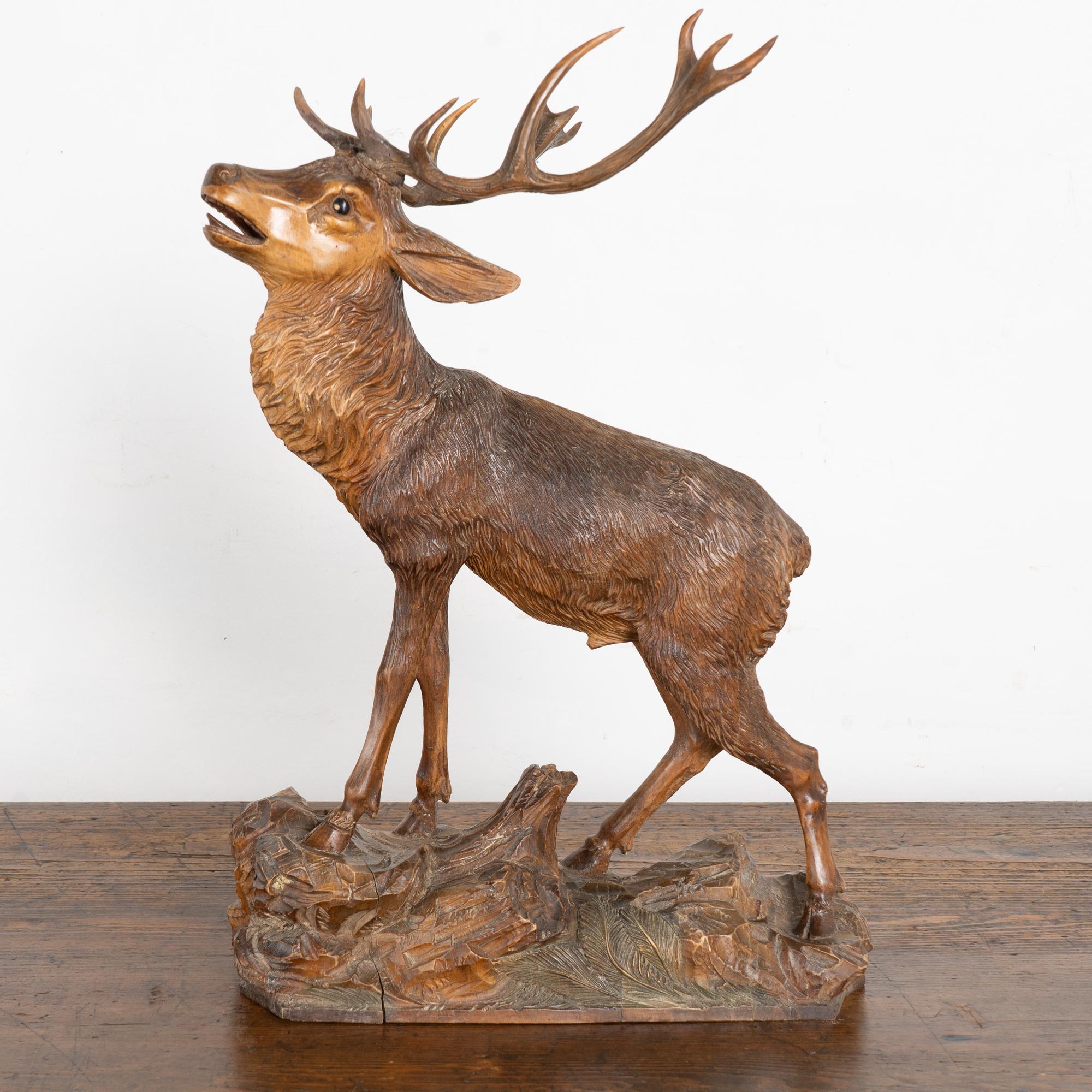 20ième siècle Elan sculpté à la main au début du 20e siècle, Black Forest, Allemagne en vente