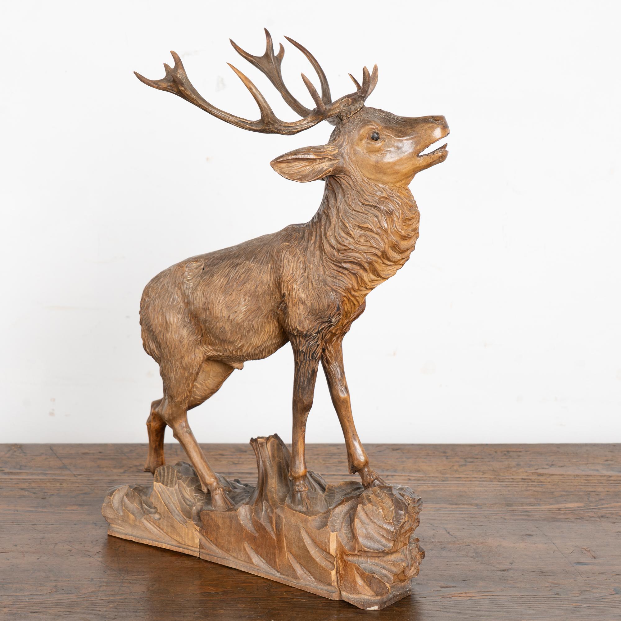 Chêne Elan sculpté à la main au début du 20e siècle, Black Forest, Allemagne en vente