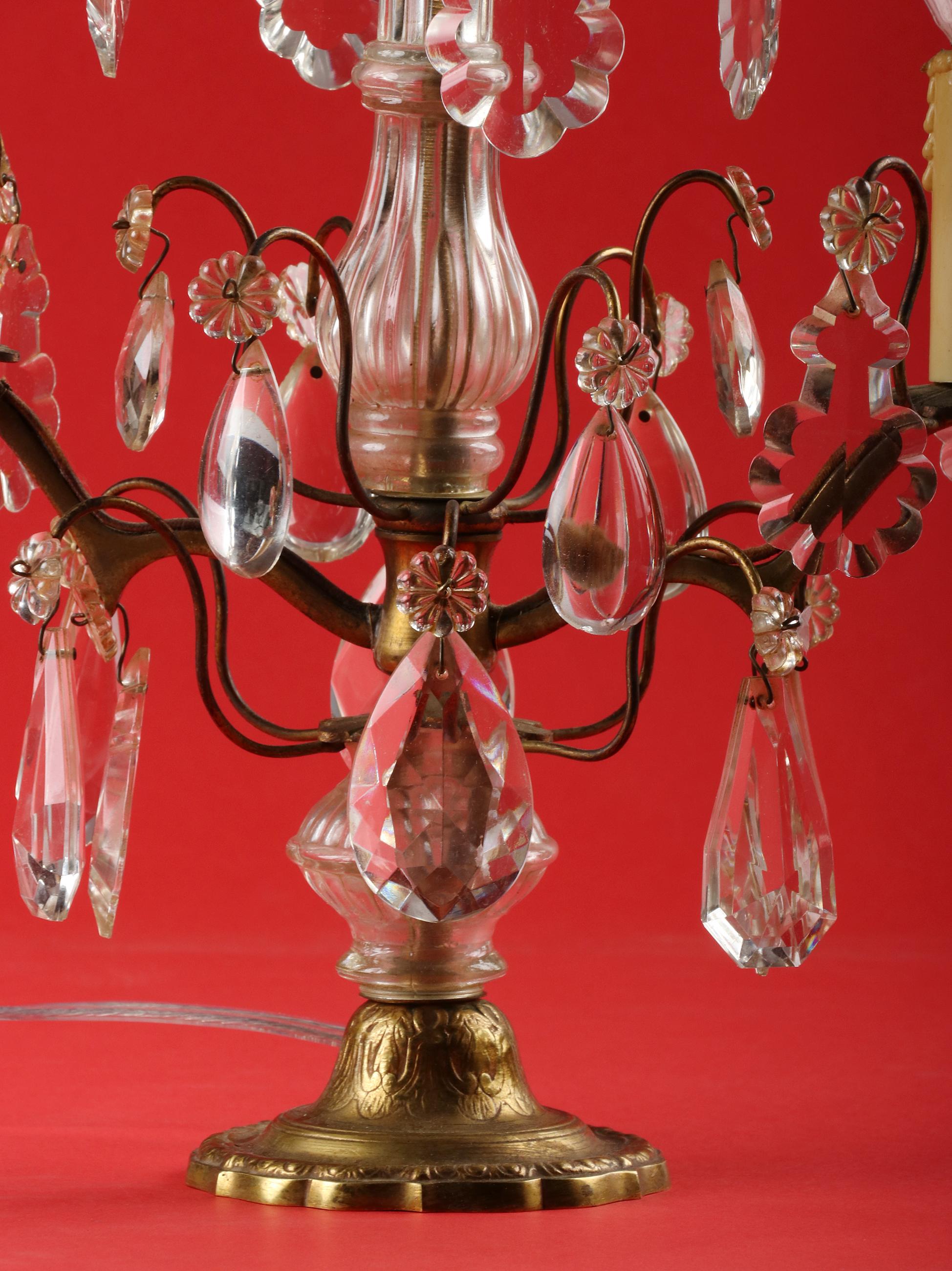 Early 20th Century Bronze and Crystal Girandoles Table Lamps 8