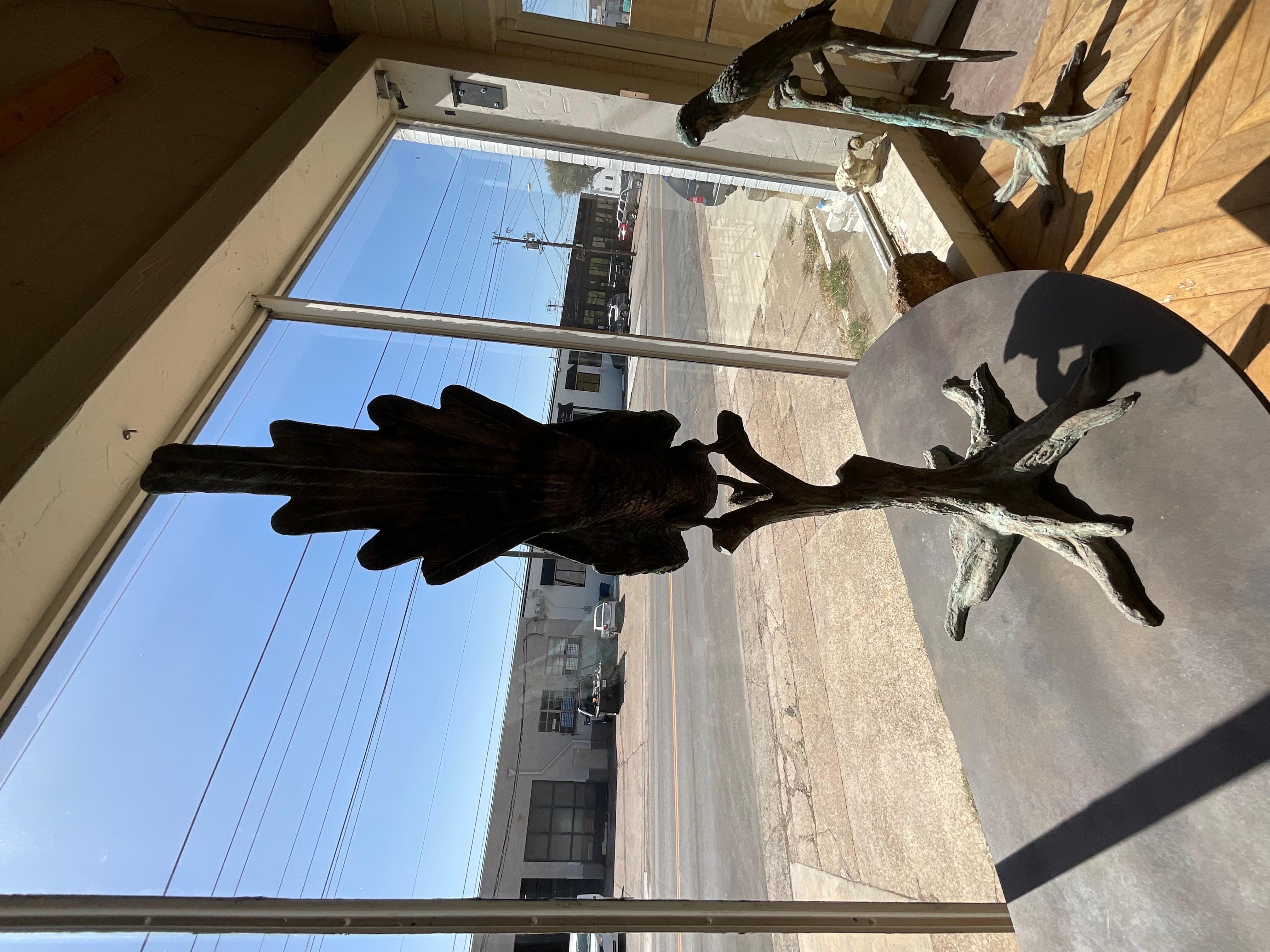 Early 20th Century Bronze Macaw In Good Condition In Dallas, TX