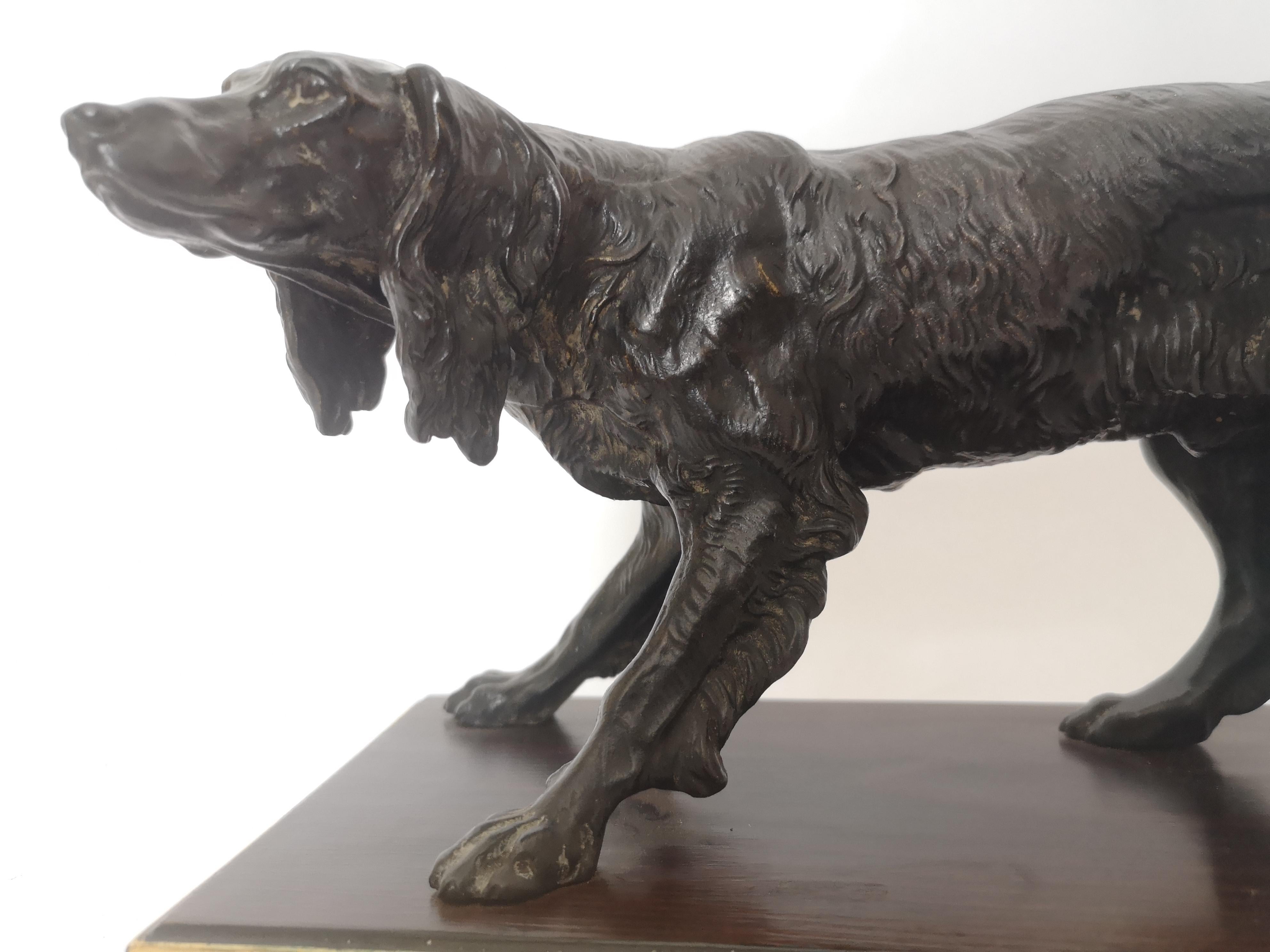 Early 20th century bronze model of a dog, probably a spaniel. In a standing position with its tail extended. On a mahogany and giltwood base.
French, circa, 1920.