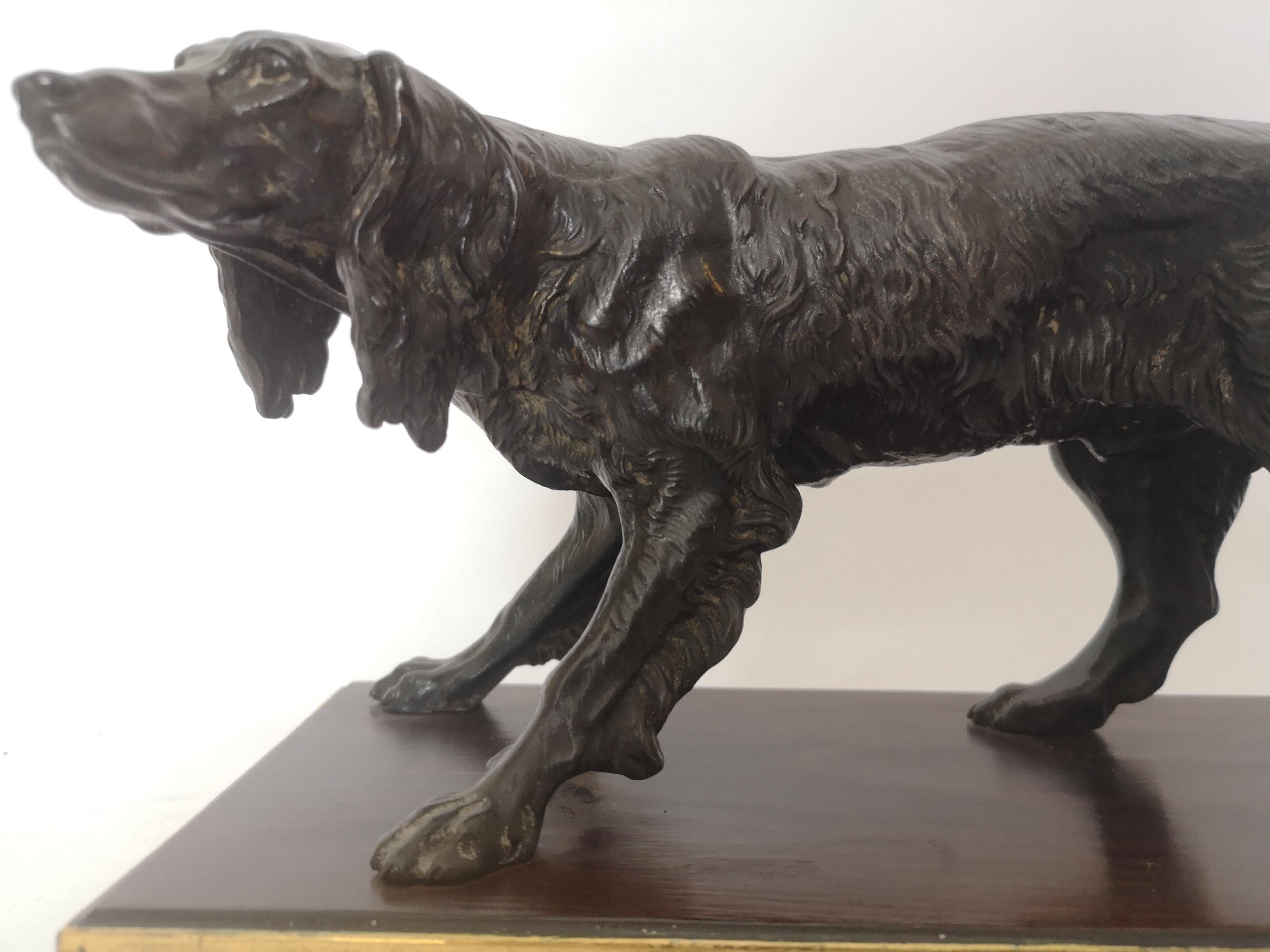 French Early 20th Century Bronze of a Dog