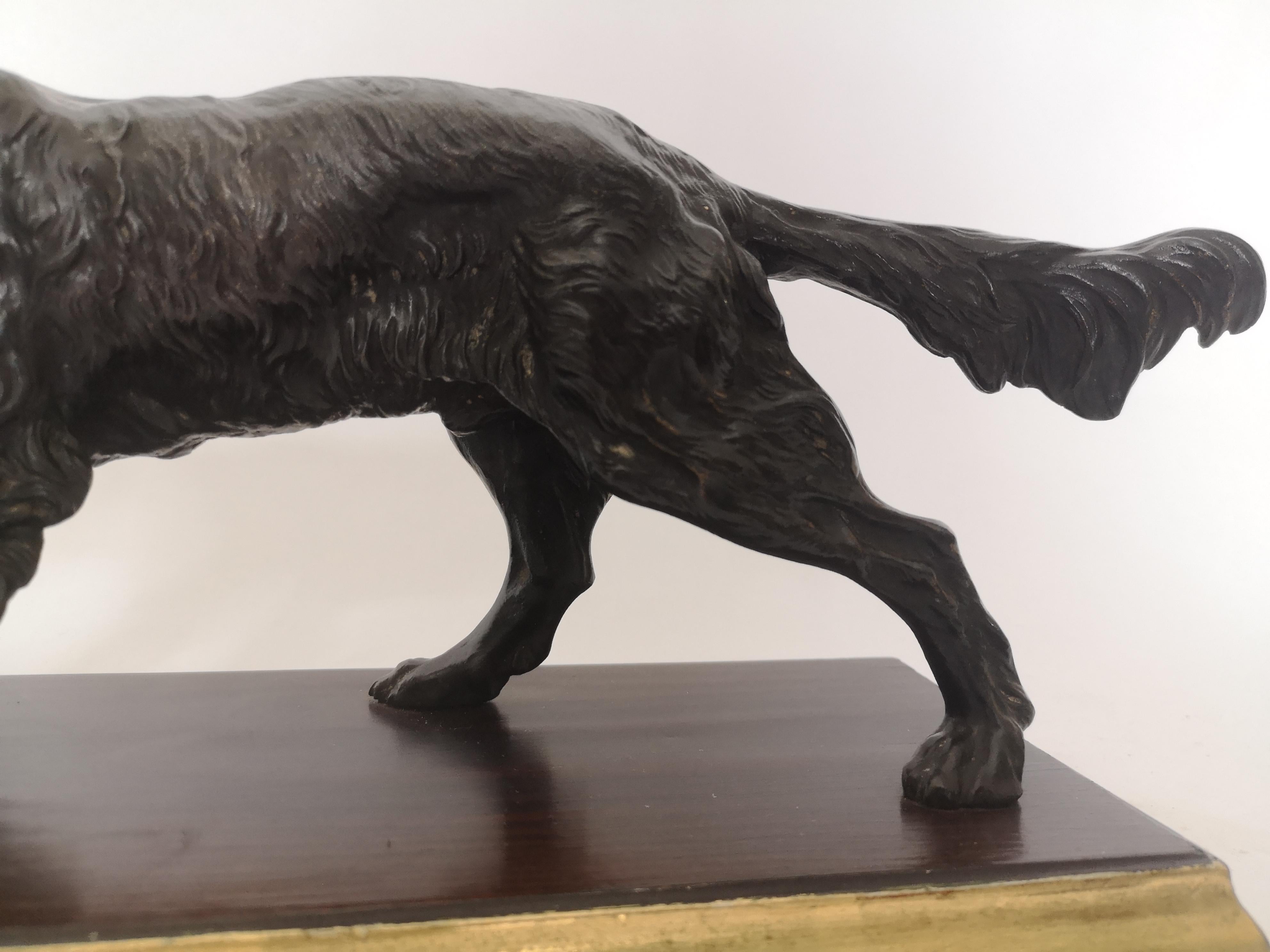 Early 20th Century Bronze of a Dog 2