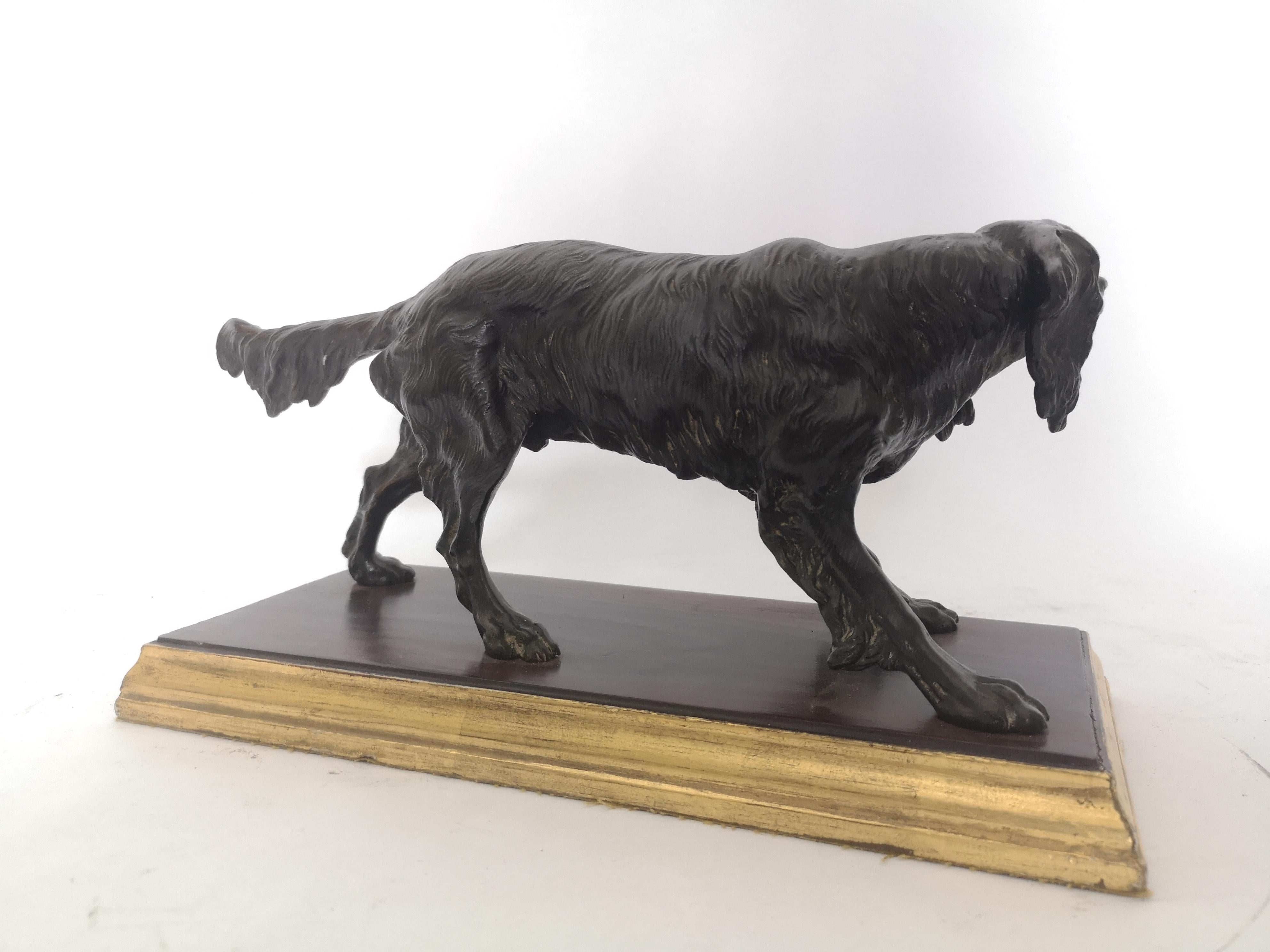 Early 20th Century Bronze of a Dog 3