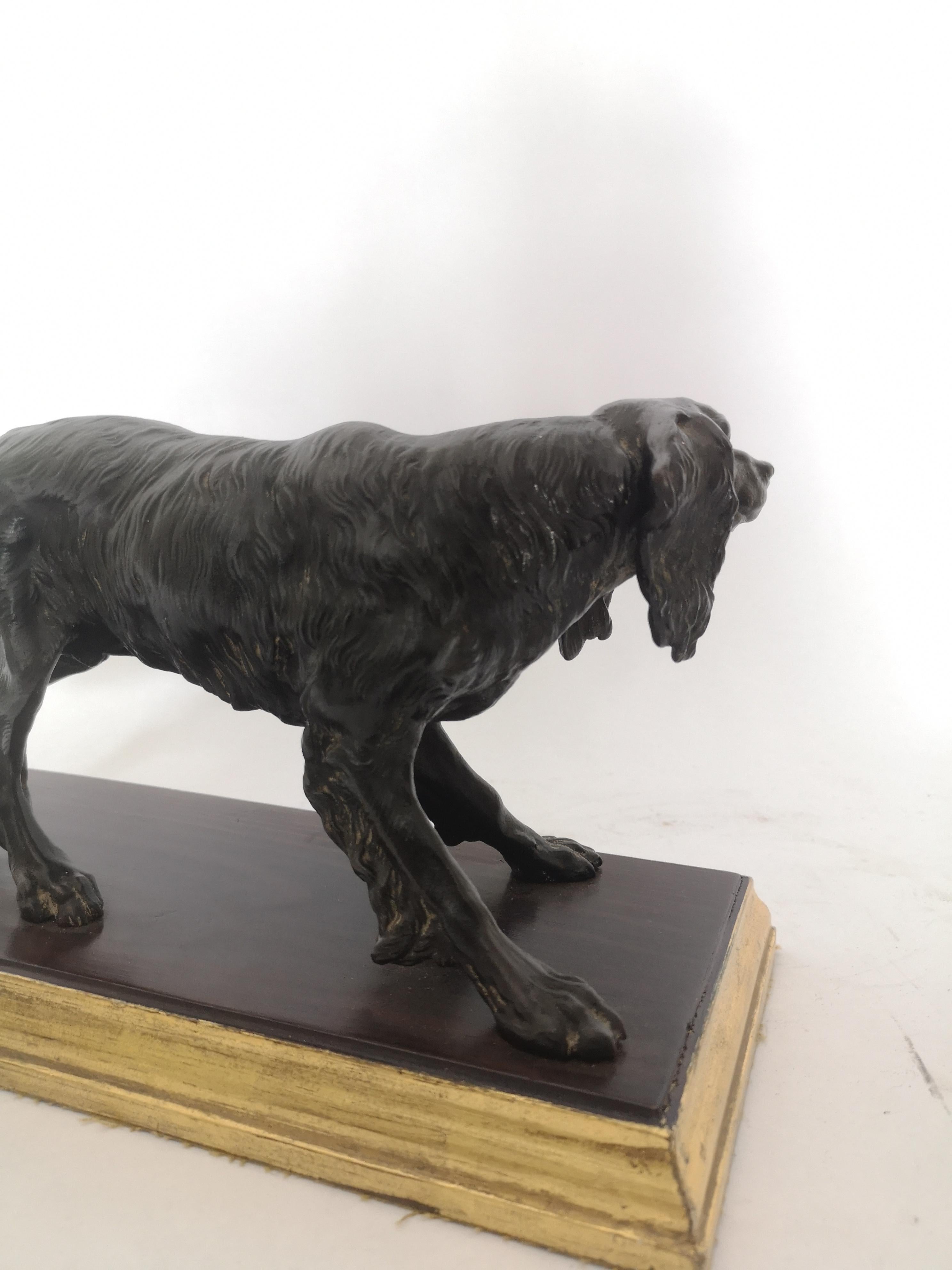 Early 20th Century Bronze of a Dog 4