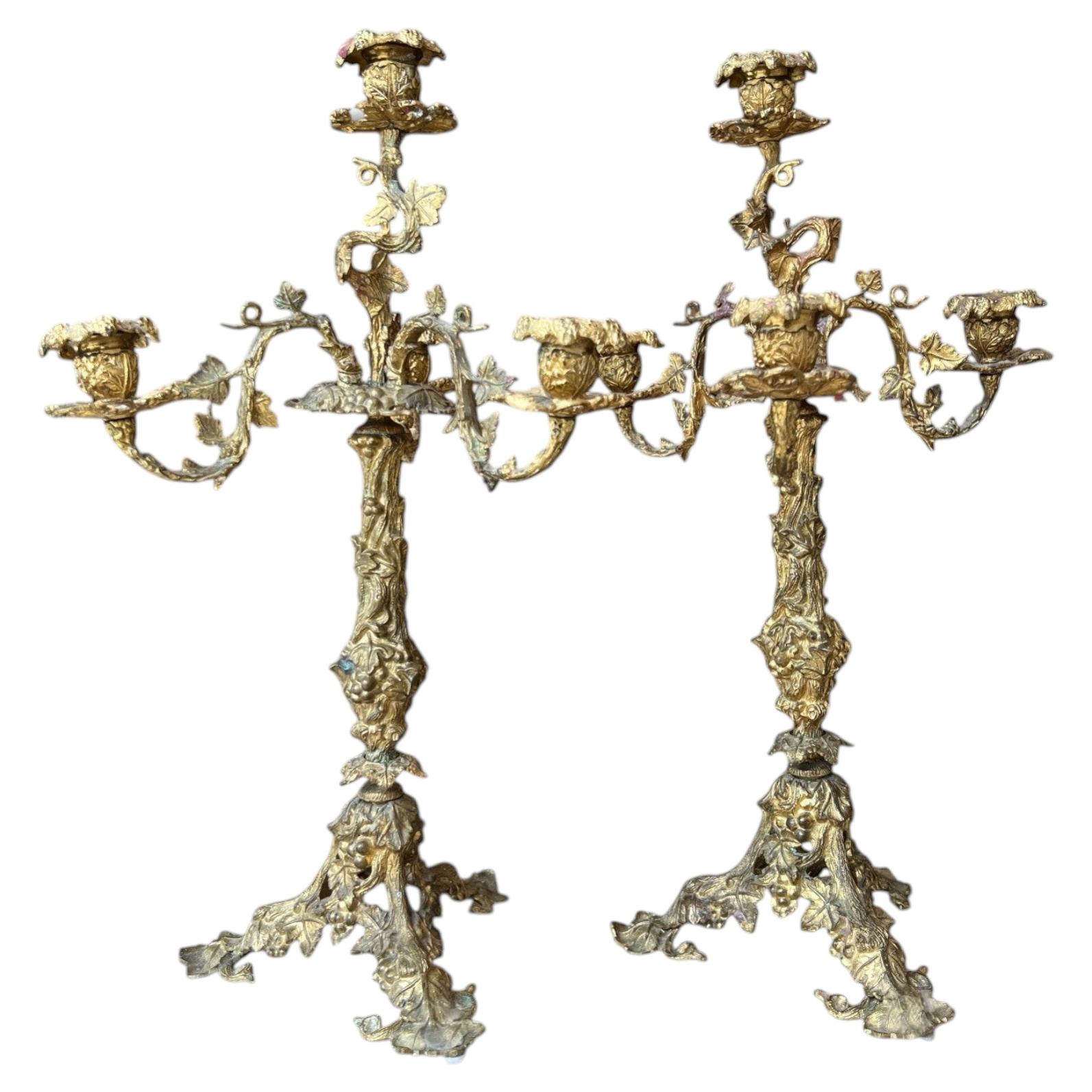 Early 20th Century Bronze Pair of Candelabras