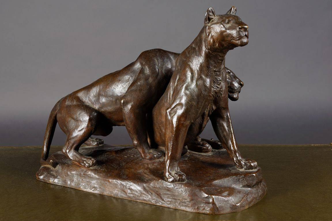 French Early 20th Century Bronze Plastic Tiger Couple on Rocks by G. Gardet, 1863-1939 For Sale