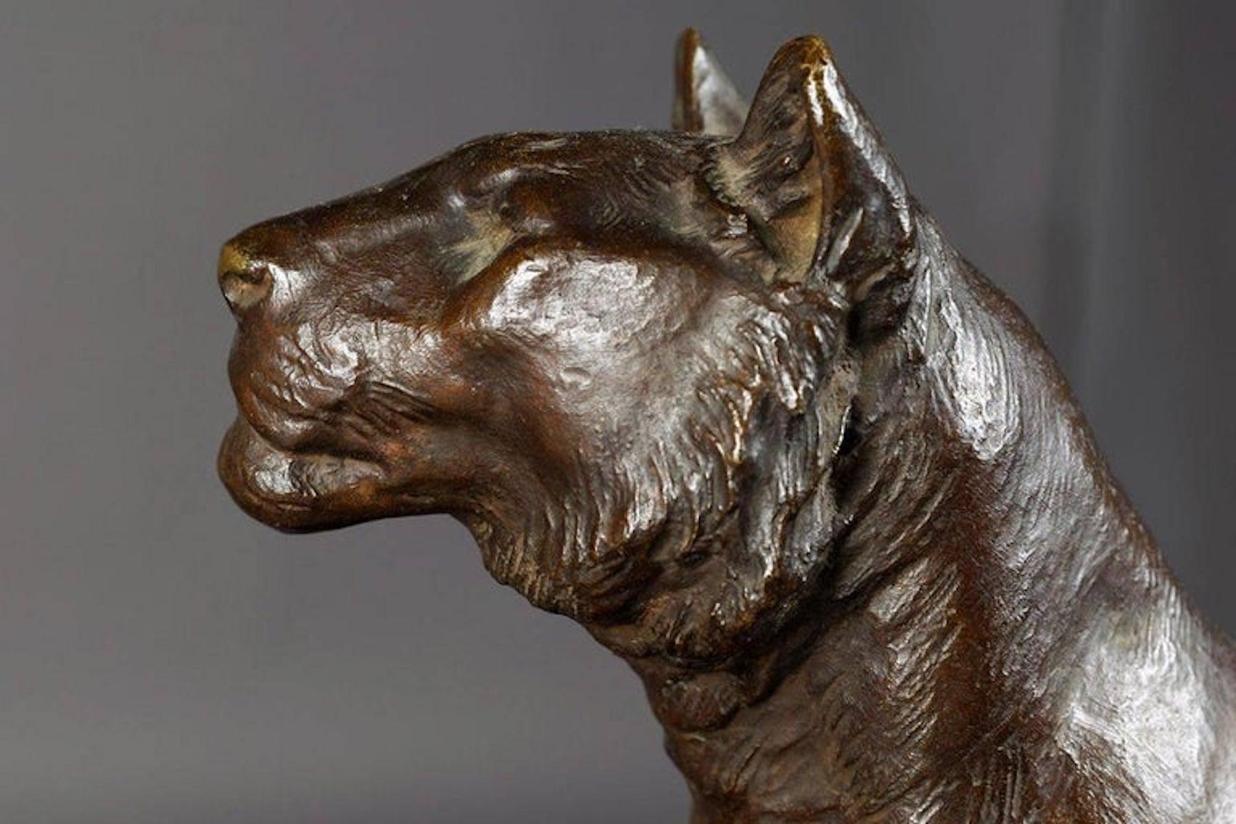 Early 20th Century Bronze Plastic Tiger Couple on Rocks by G. Gardet, 1863-1939 For Sale 2