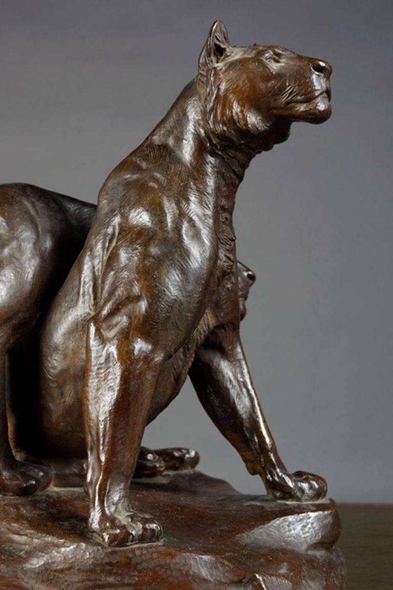 Early 20th Century Bronze Plastic Tiger Couple on Rocks by G. Gardet, 1863-1939 For Sale 4