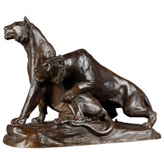 Early 20th Century Bronze Plastic Tiger Couple on Rocks by G. Gardet, 1863-1939