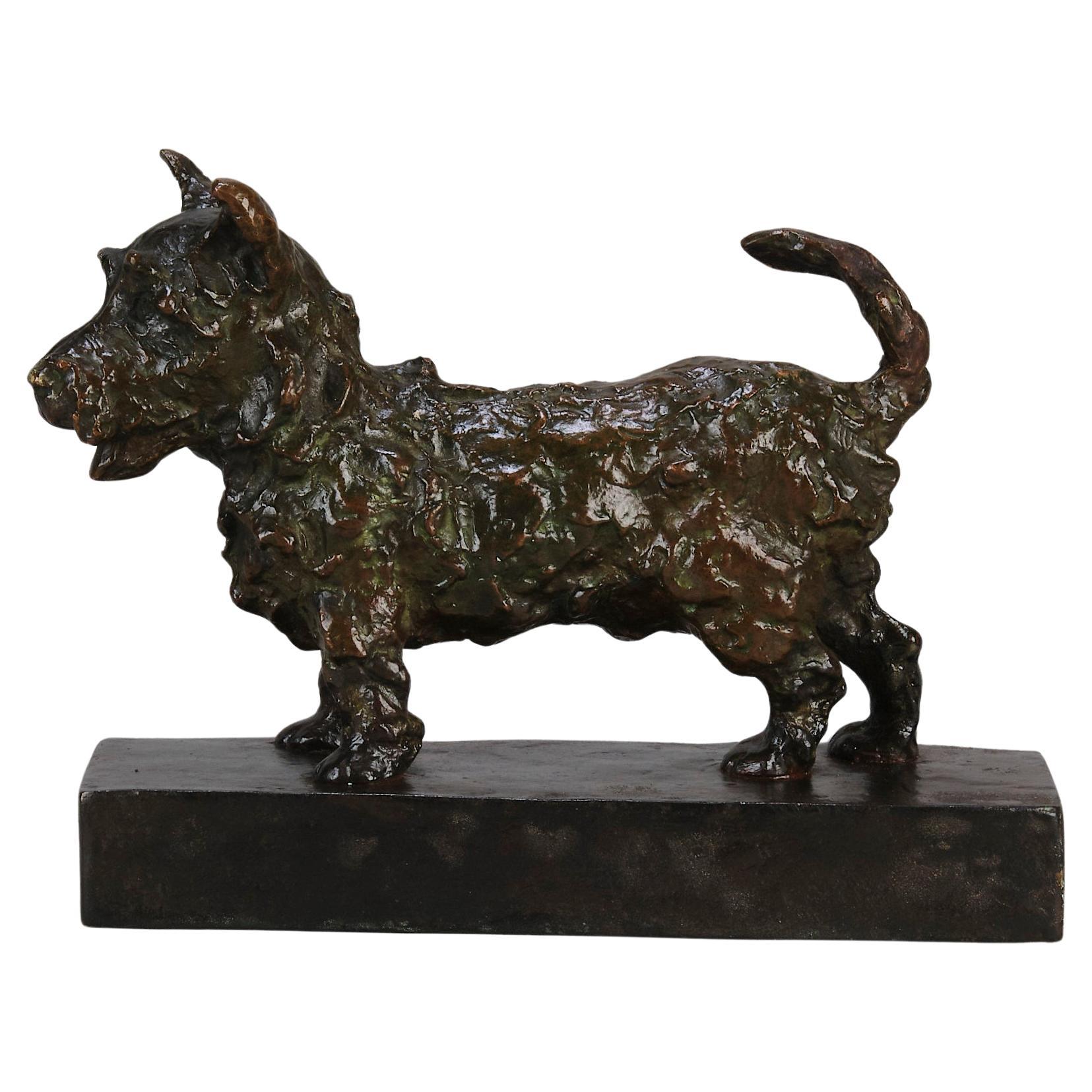 Scultura in bronzo dei primi del Novecento intitolata "Terrier in piedi" di Edith Parsons in vendita