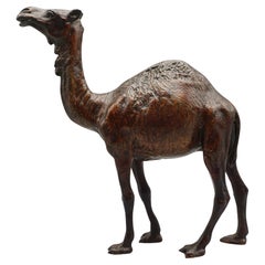 Early 20th Century Bronze Sculpture of a Camel by Franz Bergman