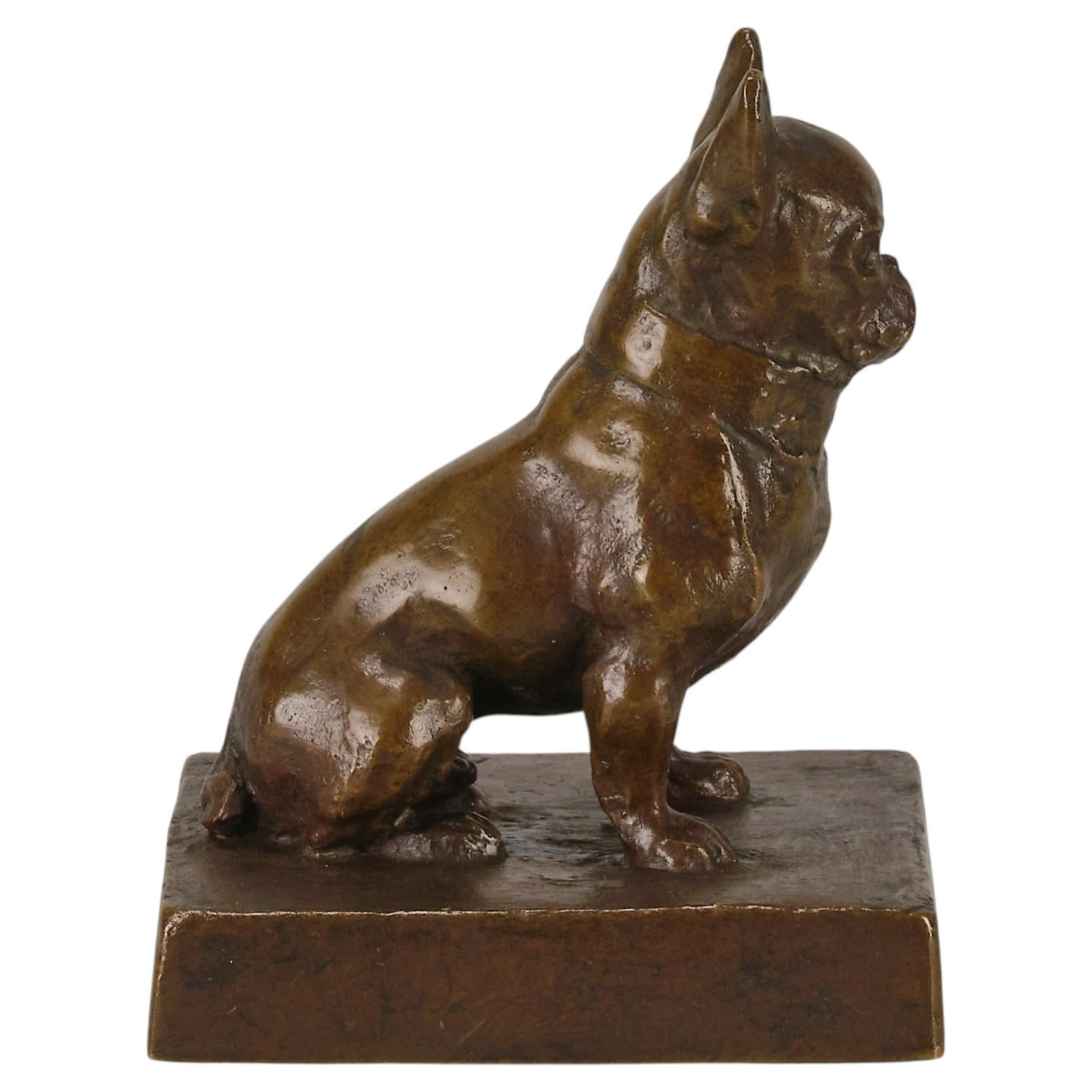Early 20th Century Bronze Study entitled "Seated French Bulldog" by Dora Heber For Sale