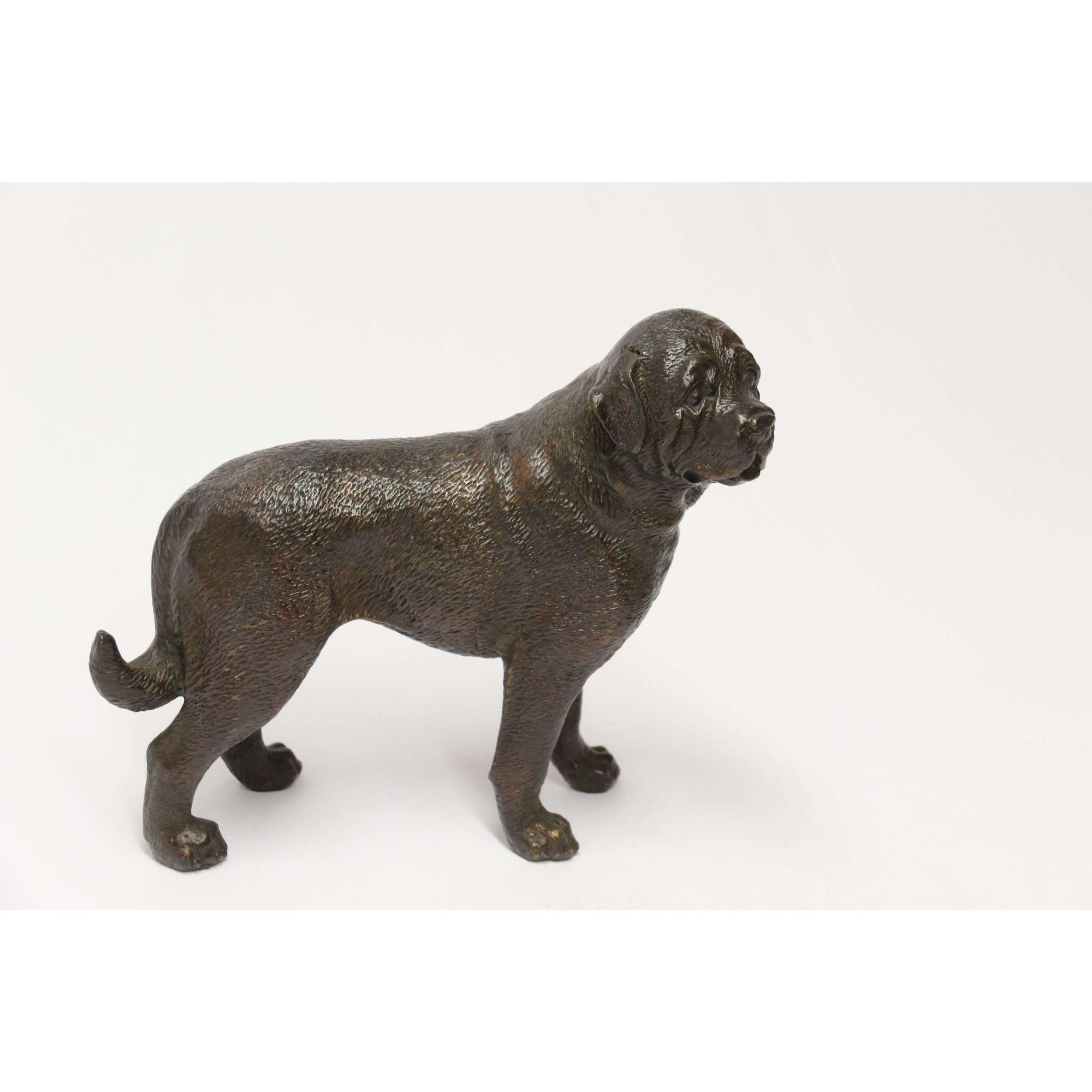 Early 20th Century Bronze Study of a Bullmastiff Dog, circa 1930 5