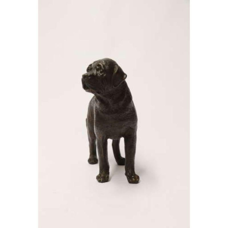 An Early 20th Century Bronze Study of a Bullmastiff dog, circa 1930

This interesting bronze depicts a bullmastiff dog, a subject rarely seen in bronze sculpture. It is modelled with a strong muscular stance with good detail to the head and a well
