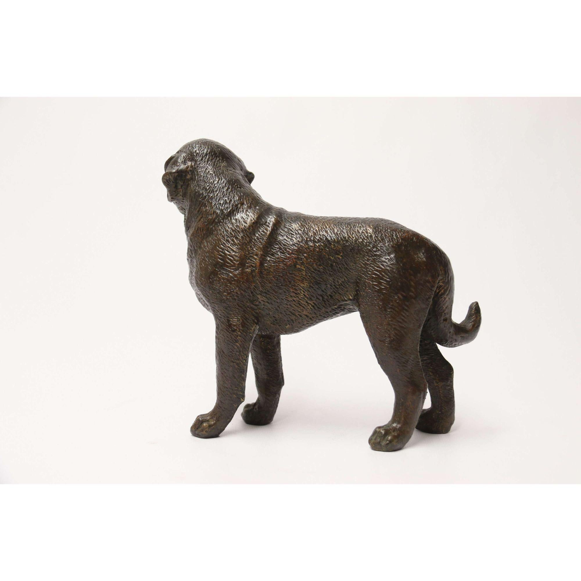 Early 20th Century Bronze Study of a Bullmastiff Dog, circa 1930 1