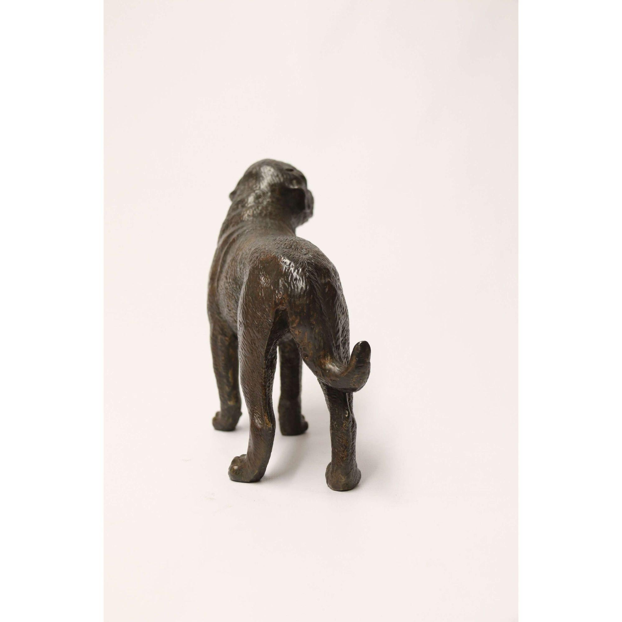 Early 20th Century Bronze Study of a Bullmastiff Dog, circa 1930 2