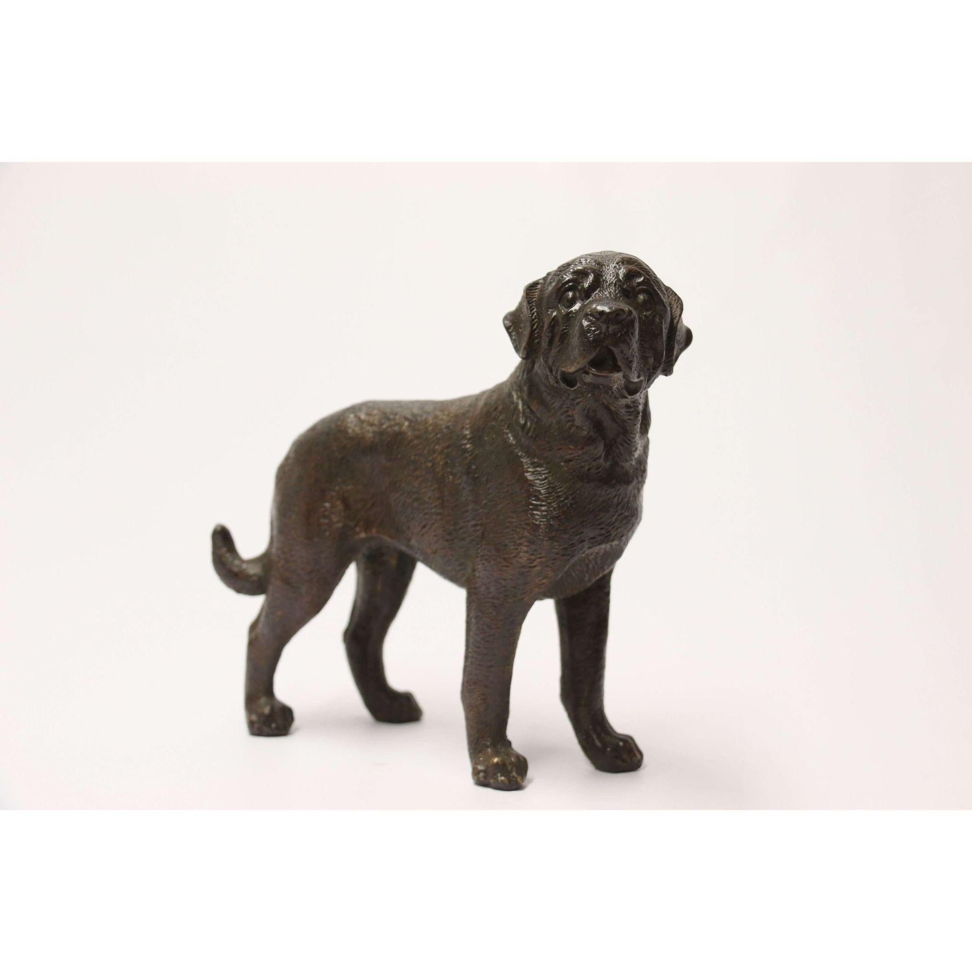 Early 20th Century Bronze Study of a Bullmastiff Dog, circa 1930 3