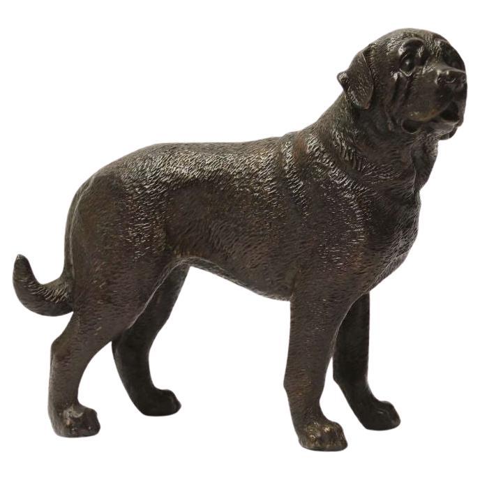 Early 20th Century Bronze Study of a Bullmastiff Dog, circa 1930