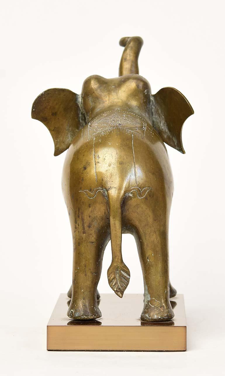 burmese elephant
