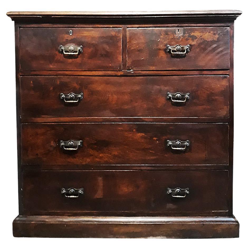 Early 20th Century Burmese Wood Chest of Drawers For Sale