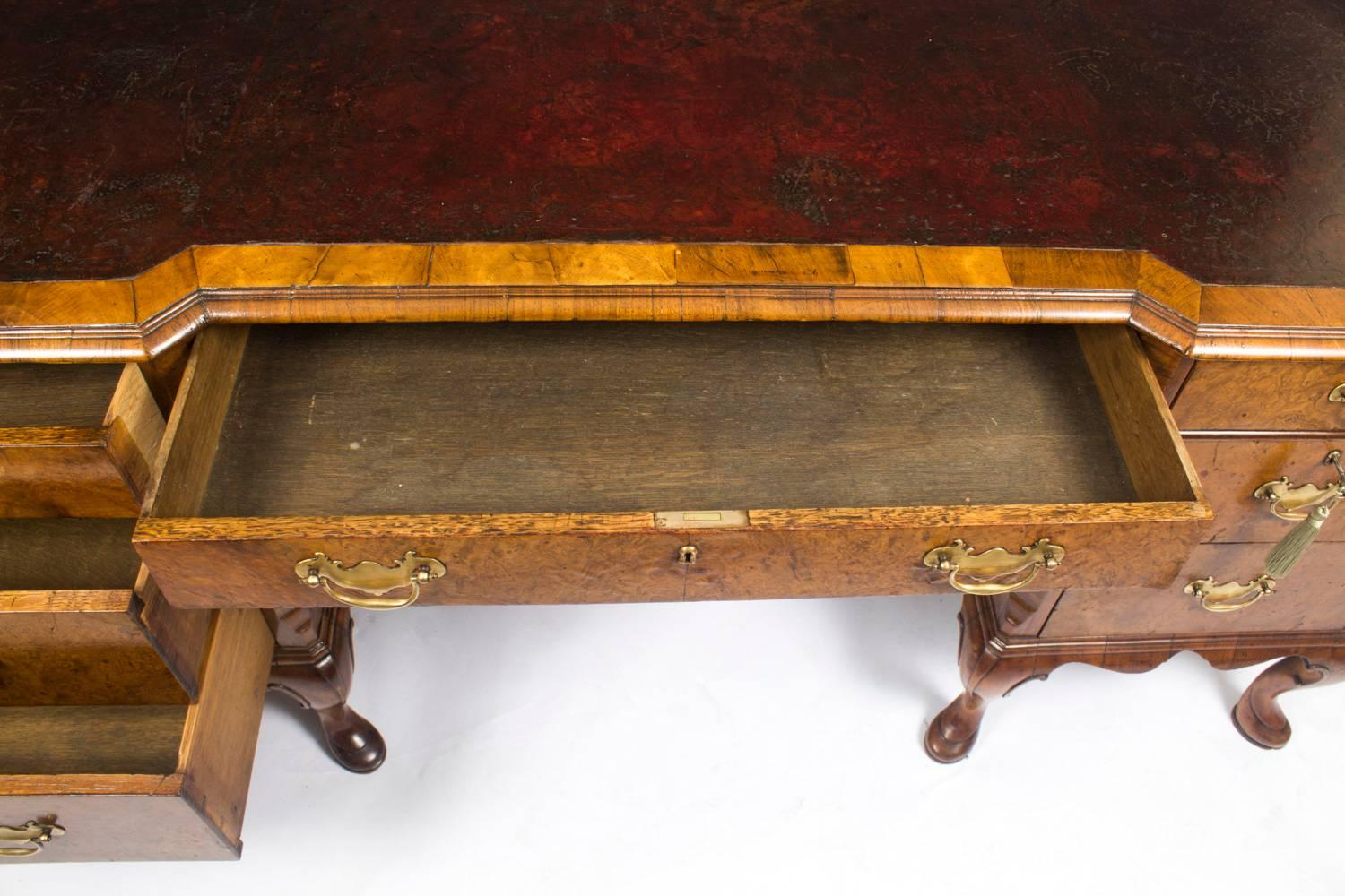 Early 20th Century Burr Walnut Partners Pedestal Desk in Queen Ann Style 3