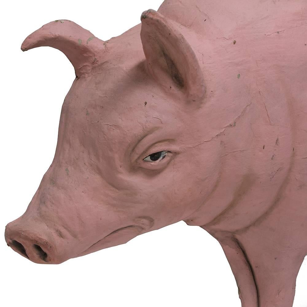German Early 20th Century Butcher's Pig