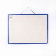 Early 20th Century Butterfly Anatomy Educational Poster