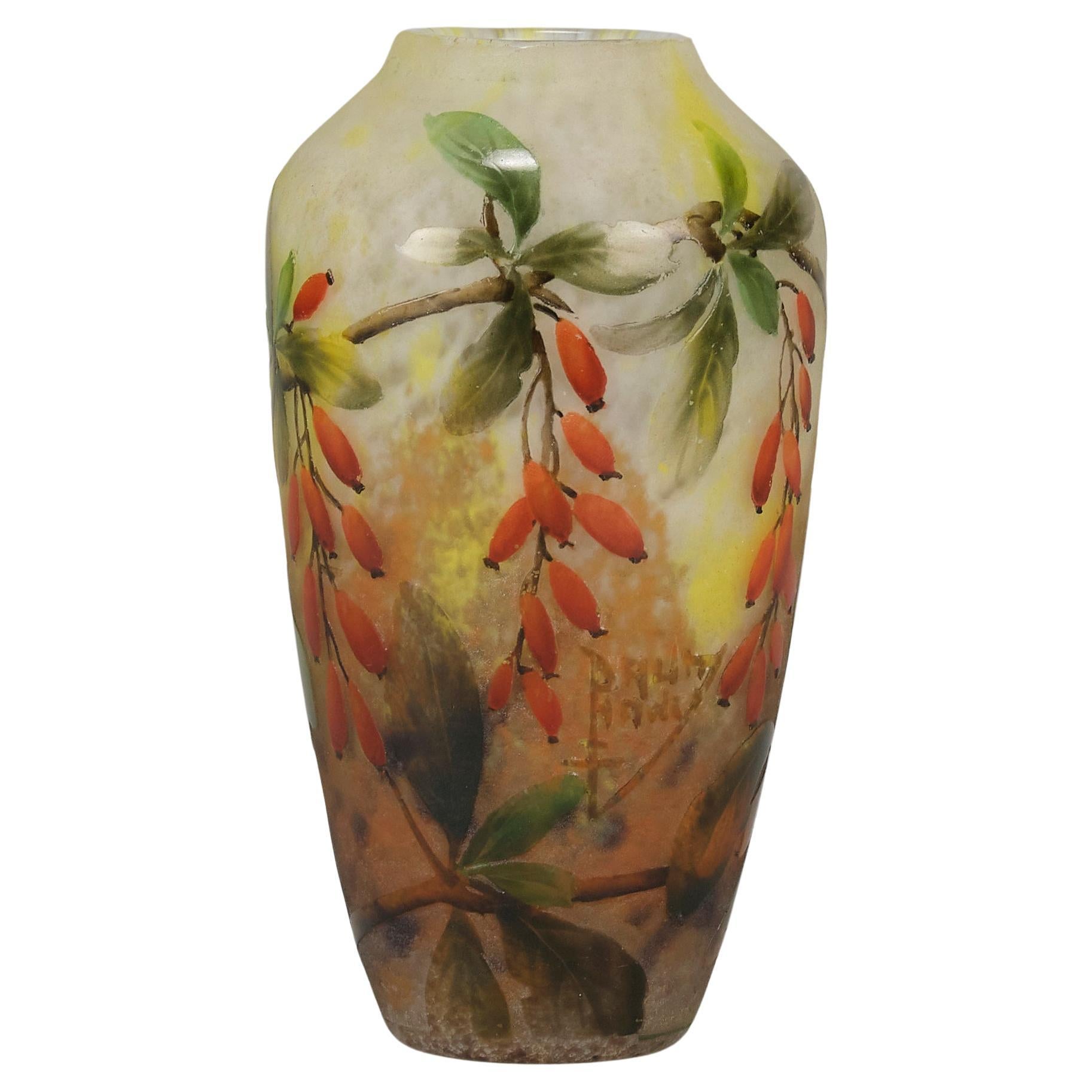 Early 20th Century Cameo Glass "Rosehips Vase" by Daum Freres For Sale