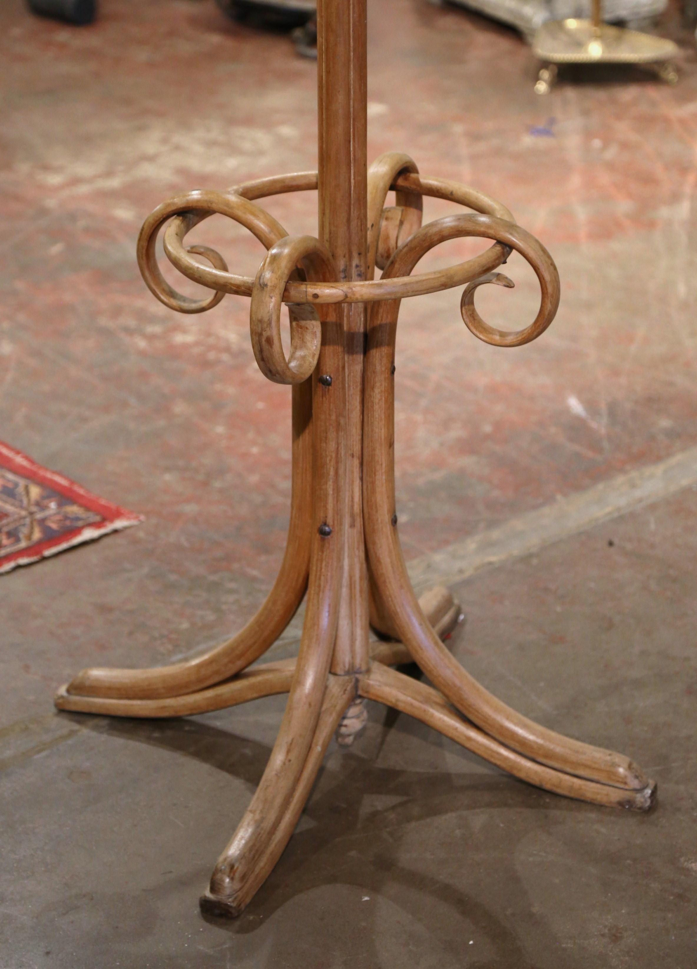 Early 20th Century Carved Bentwood 