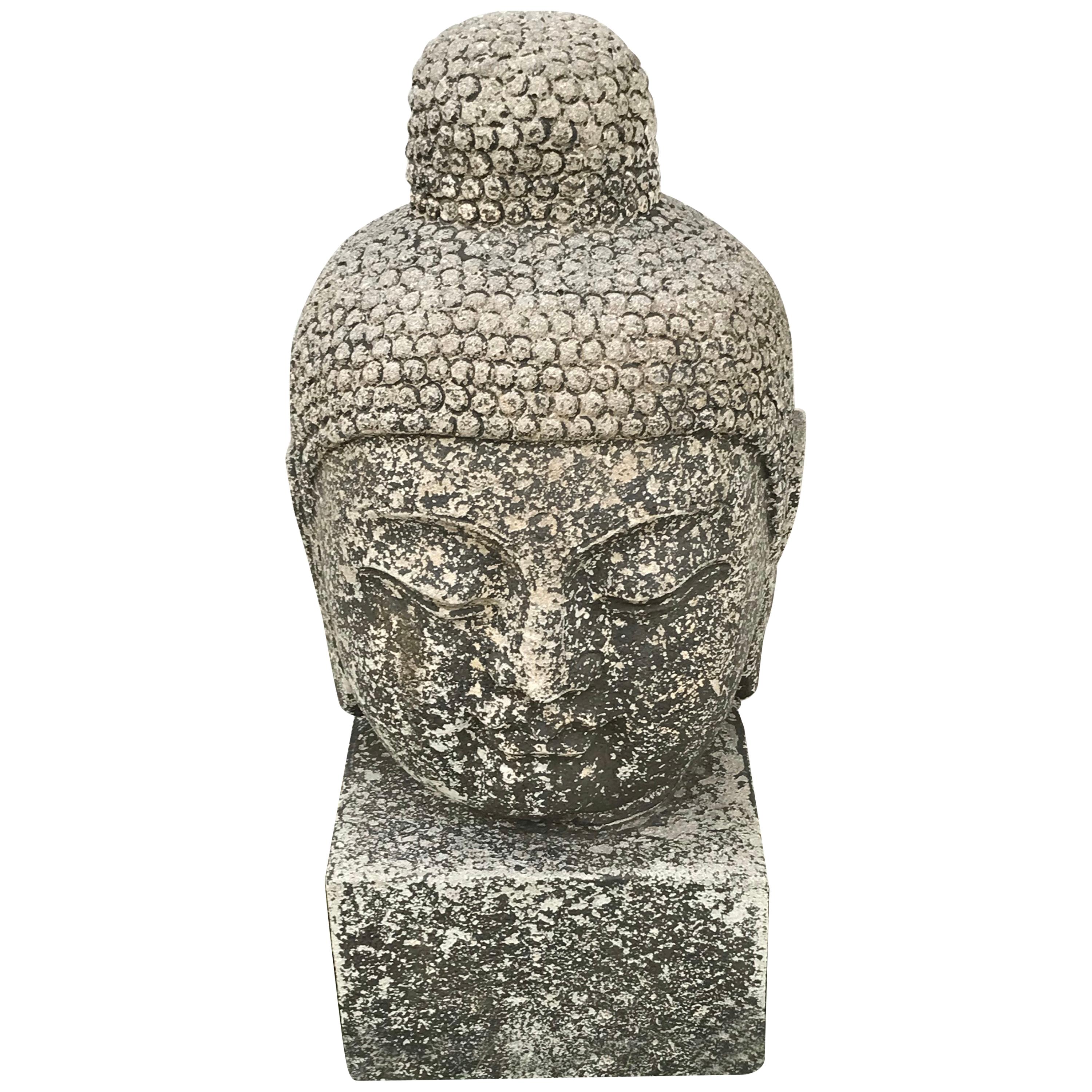 Early 20th Century Carved Stone Buddha Head