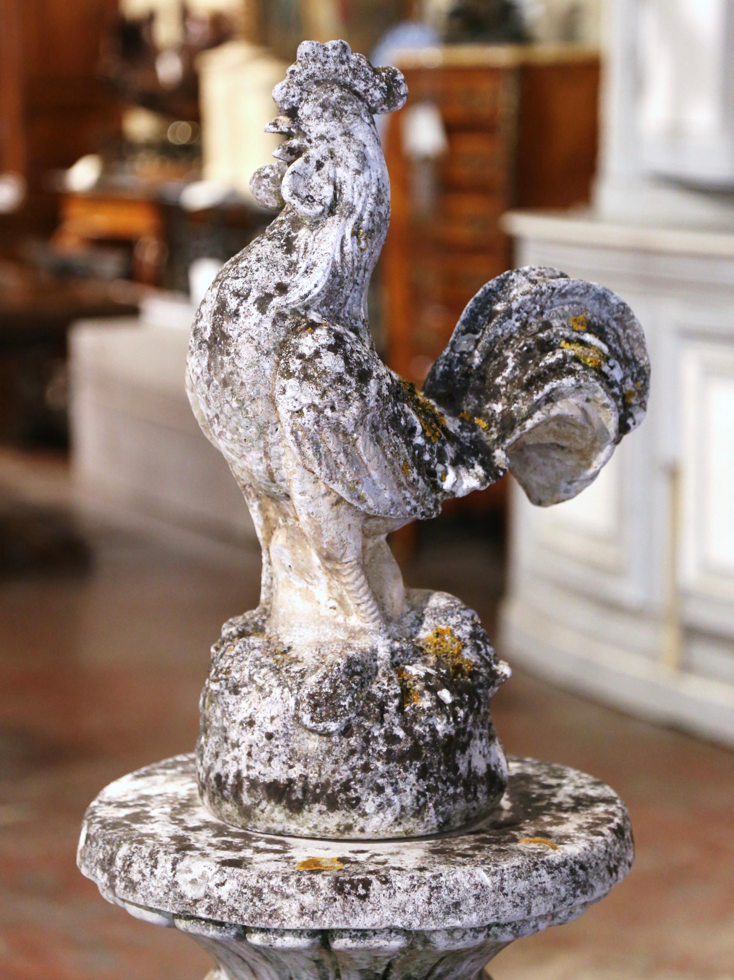 Decorate a yard or a garden with this wonderful antique carved concrete pedestal and sculpture. Carved in France circa 1920, this pedestal rests on an octagonal plinth base over a fluted and tapered stem. It features an intricately carved chicken