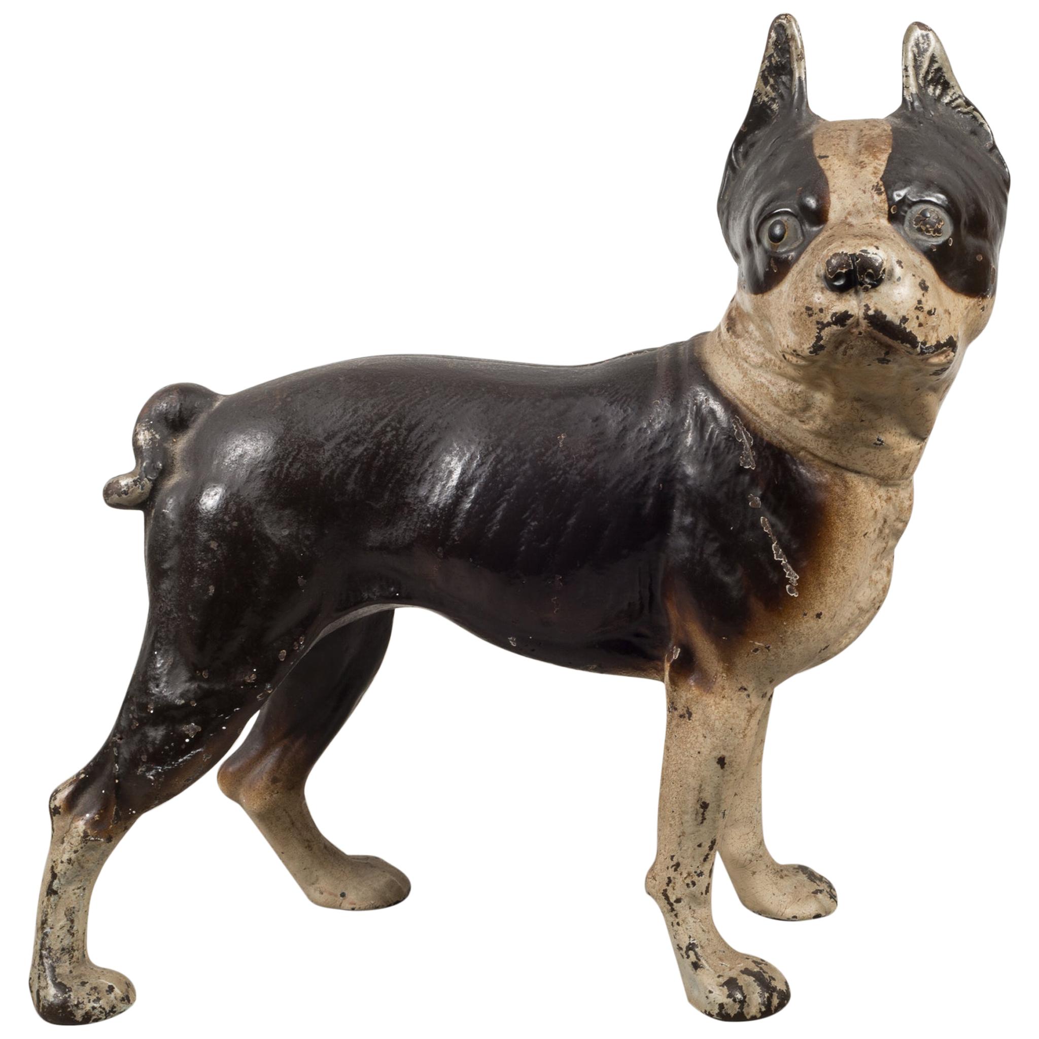 Early 20th Century Cast Iron Boston Terrier Doorstop by Hubley, circa 1910-1940
