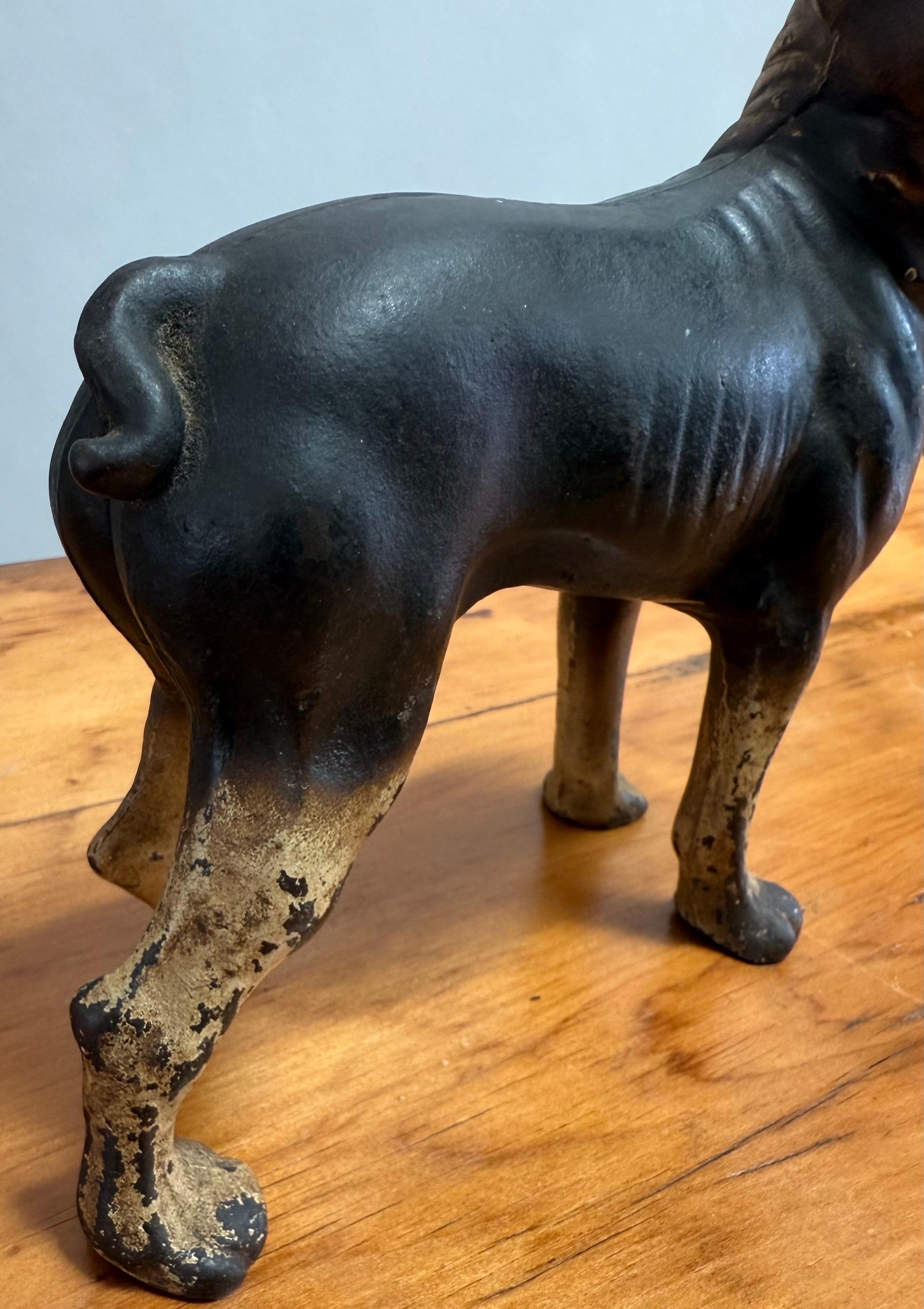 American Early 20th Century Cast Iron Boston Terrier Doorstop For Sale