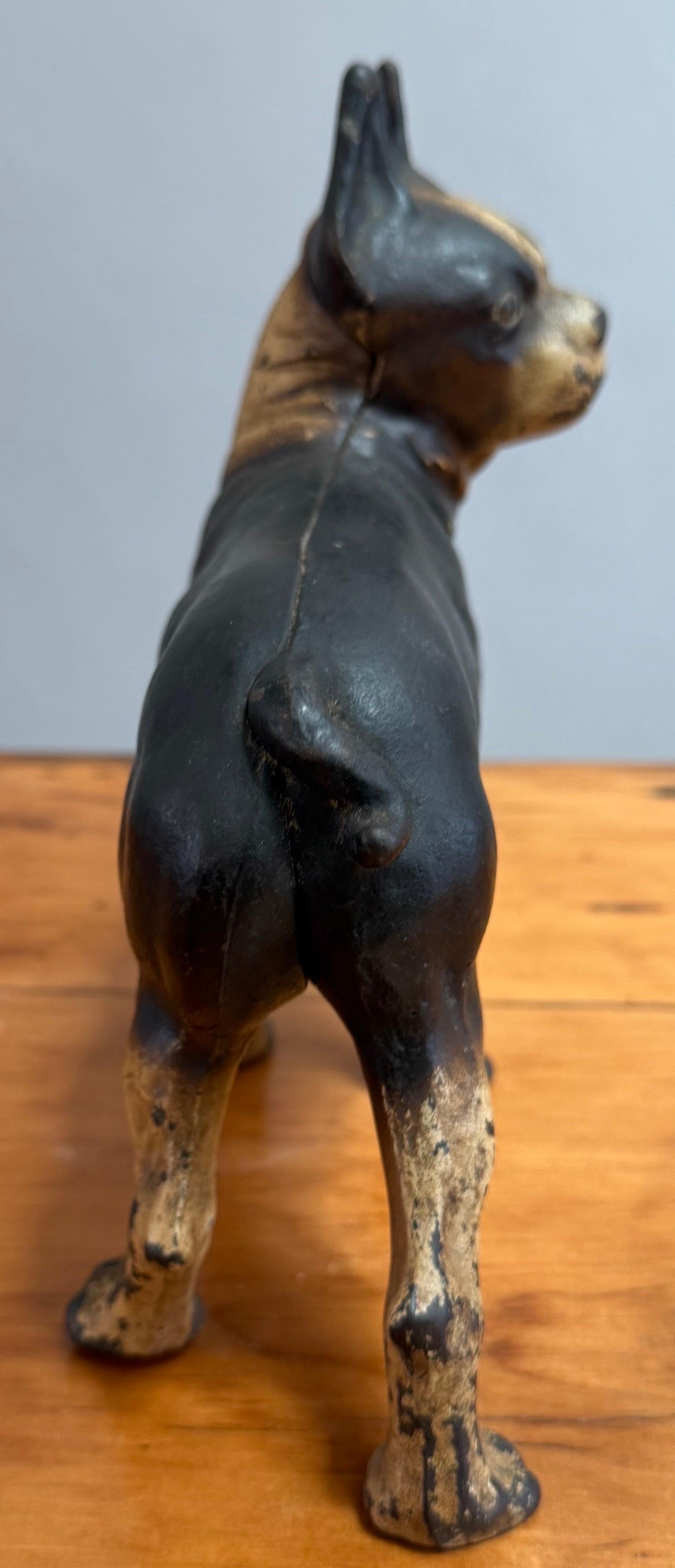 Early 20th Century Cast Iron Boston Terrier Doorstop For Sale 1