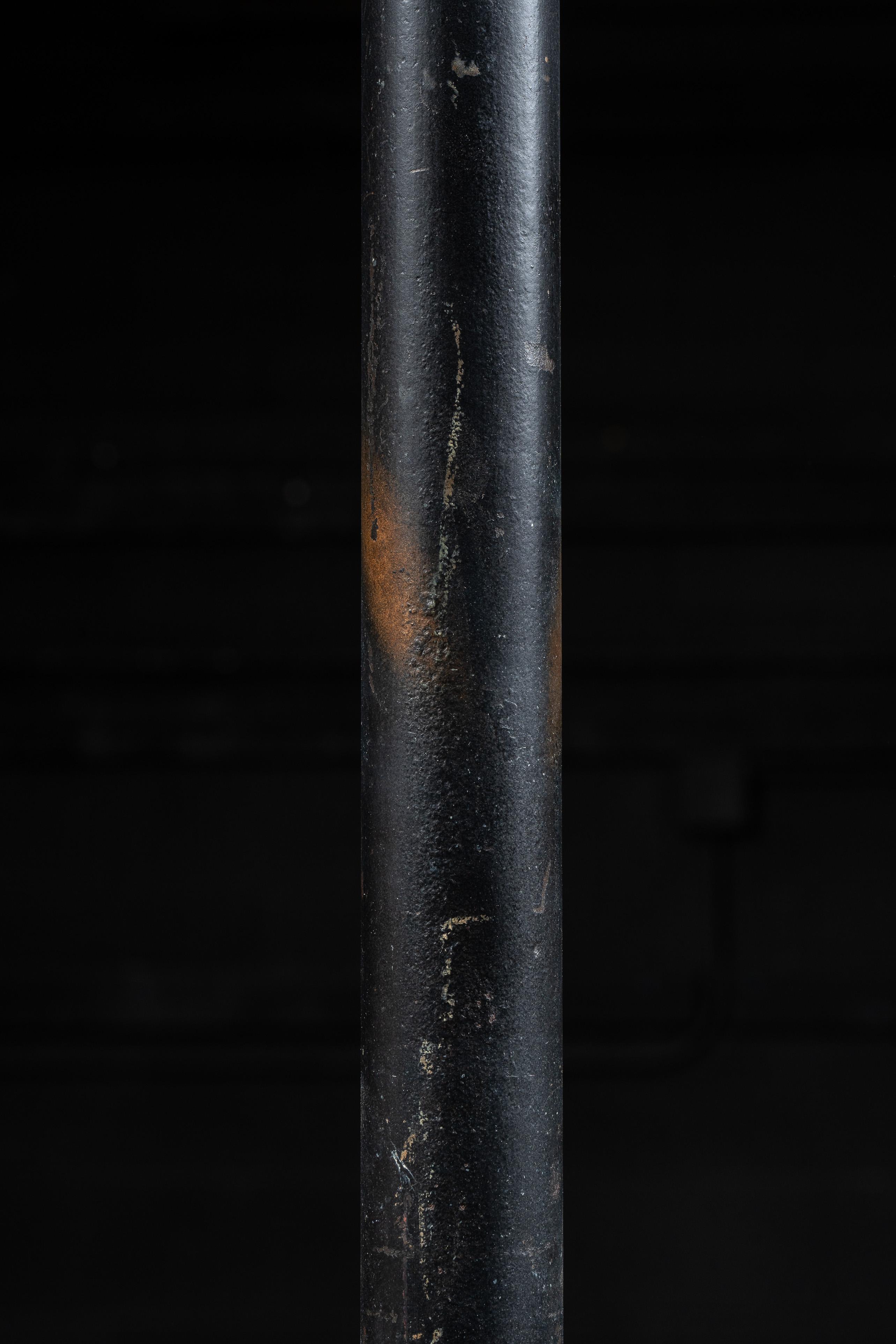 Early 20th Century Cast Iron Coat Tree For Sale 1