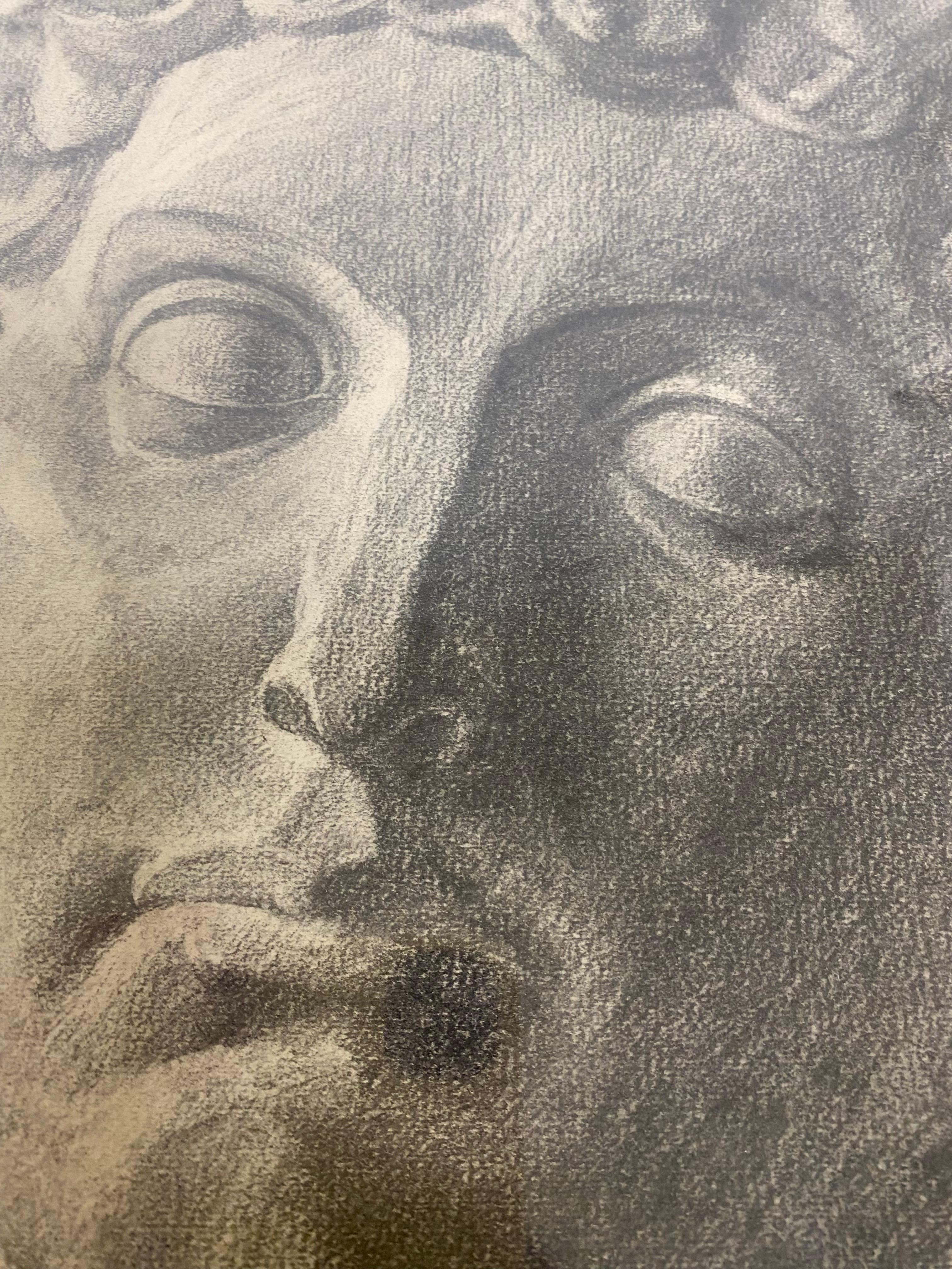 Americano Carboncino su carta dei primi del Novecento, studio di un busto in vendita