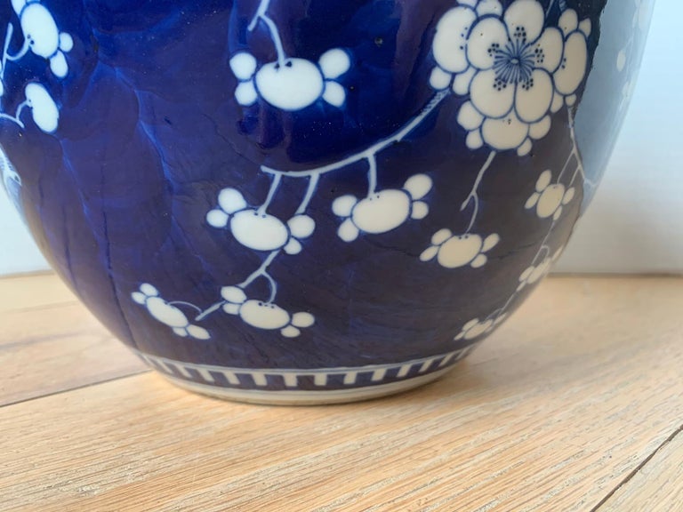 Early 20th Century Chinese Kangxi Style Blue and White Cherry Blossom Ginger Jar 9