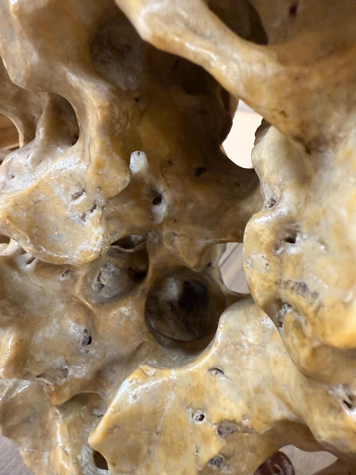 Early 20th Century Chinese Lingbi Scholar's Rock with a Carved Wooden Stand. en venta 8