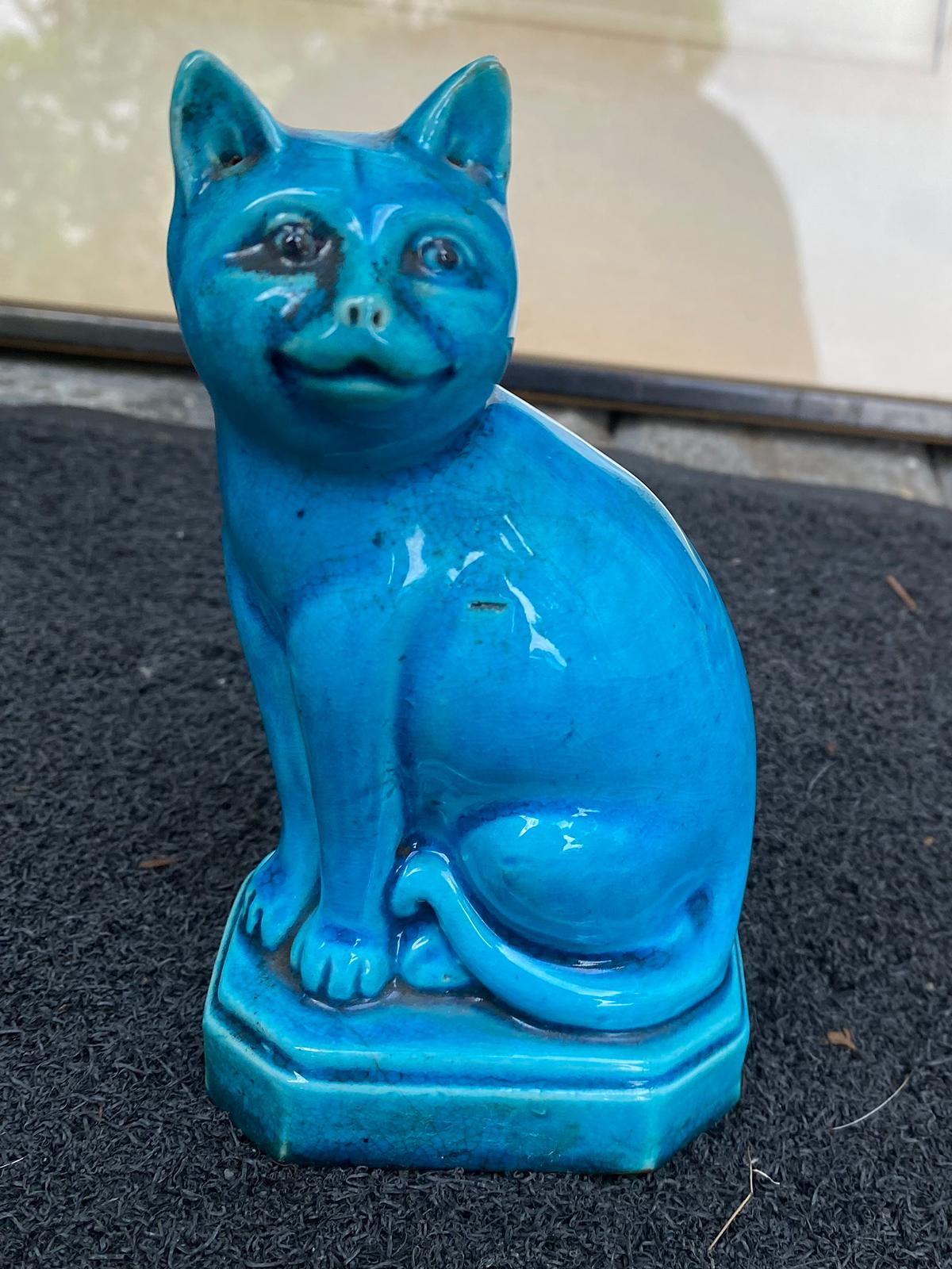chinese blue cat