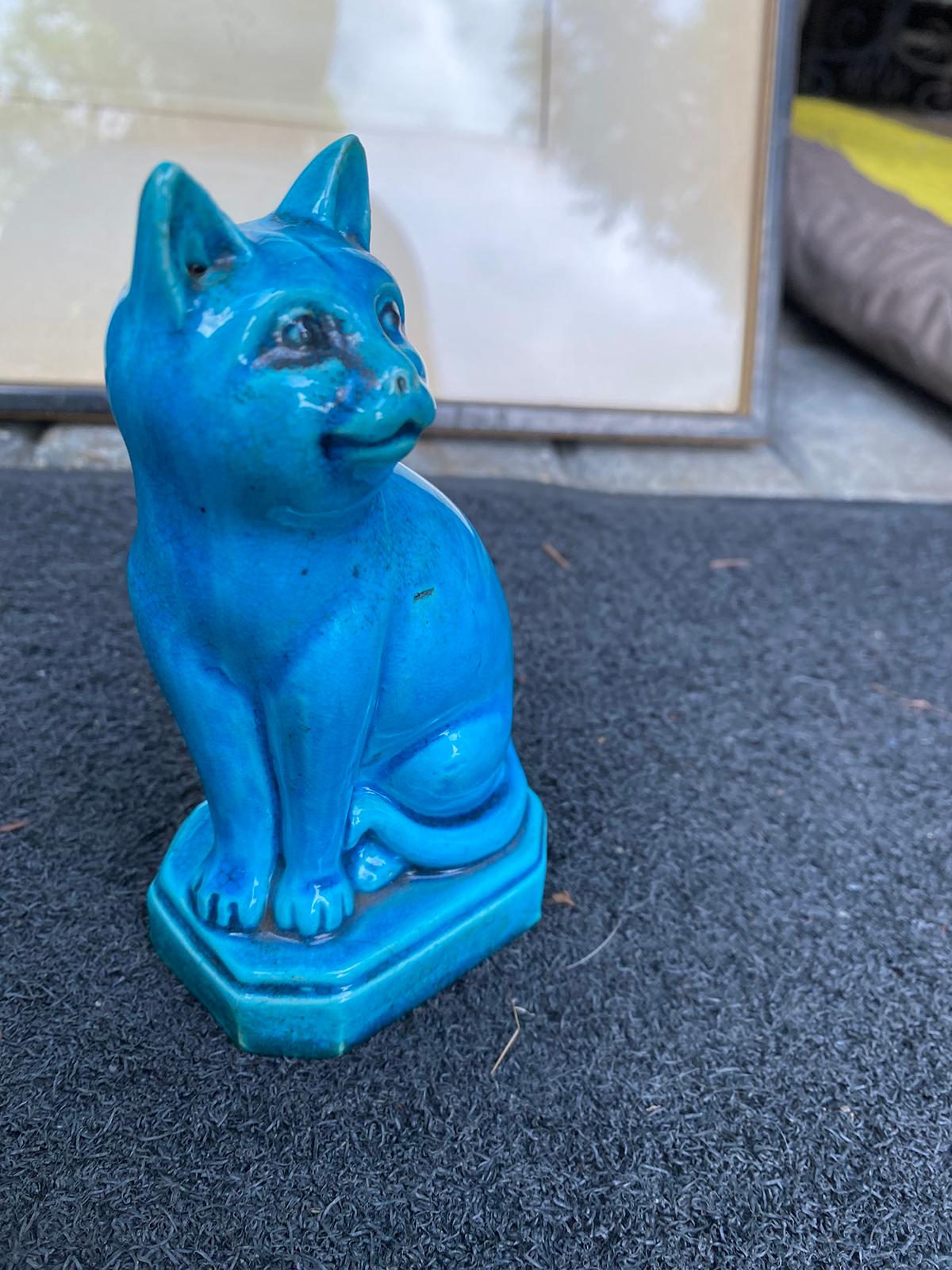 blue cat china