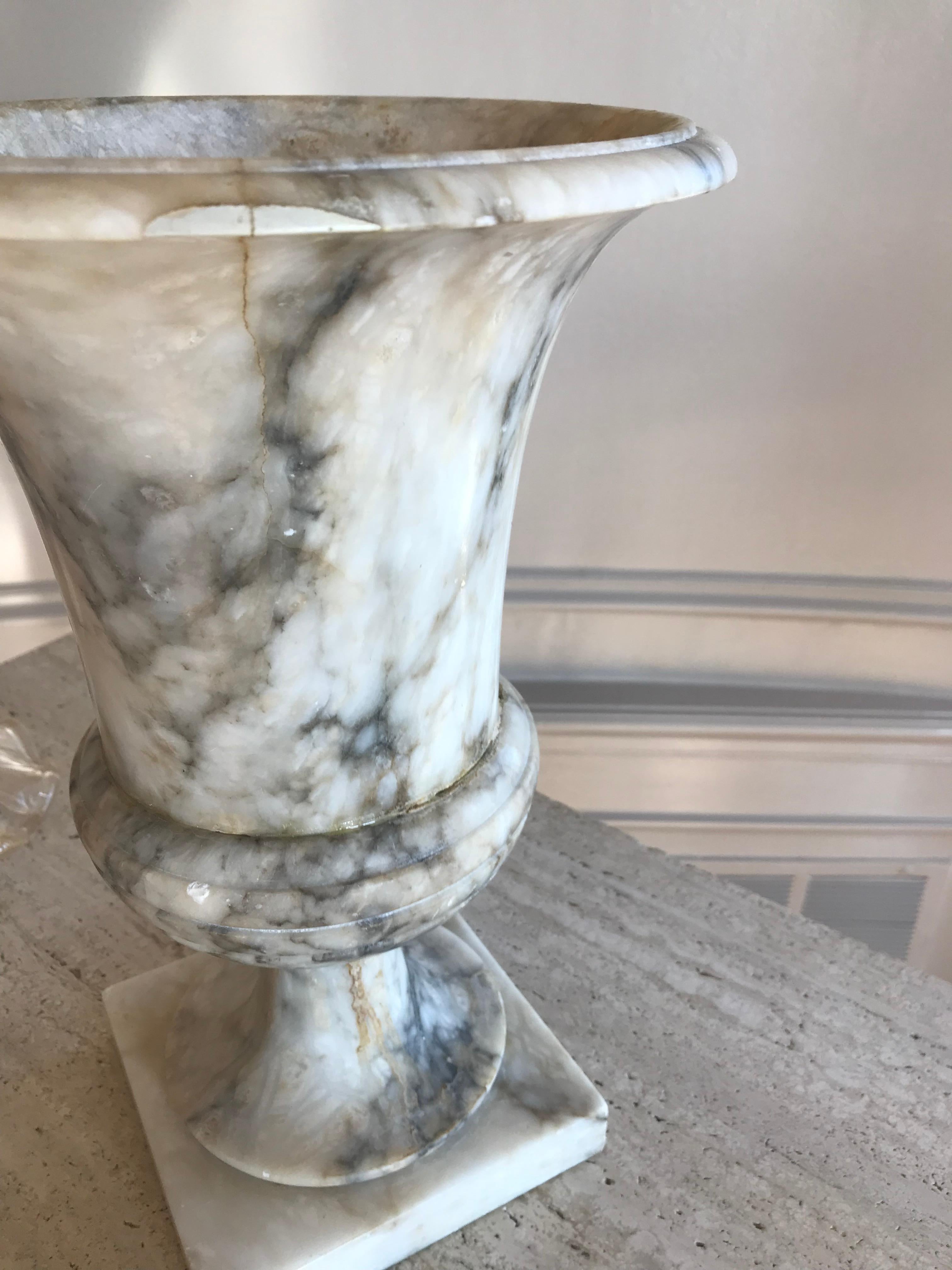 Classical Roman Early 20th Century Classic Marble Urn