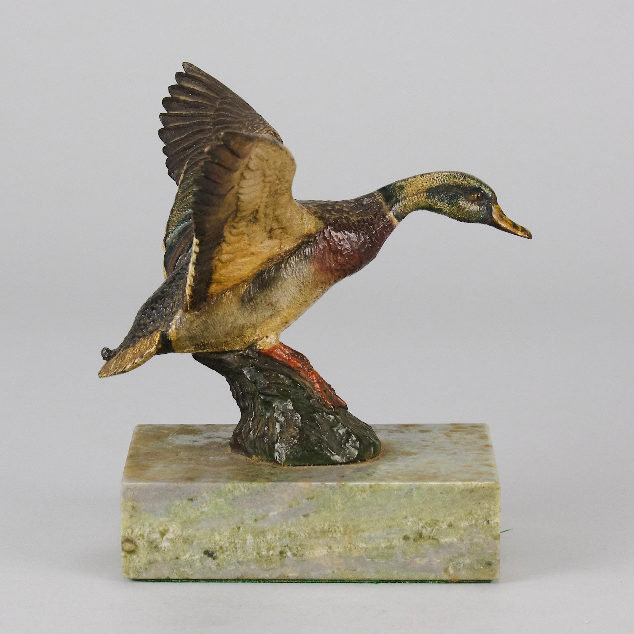 Early 20th Century Cold-Painted Austrian Bronze Flying Duck For Sale 5