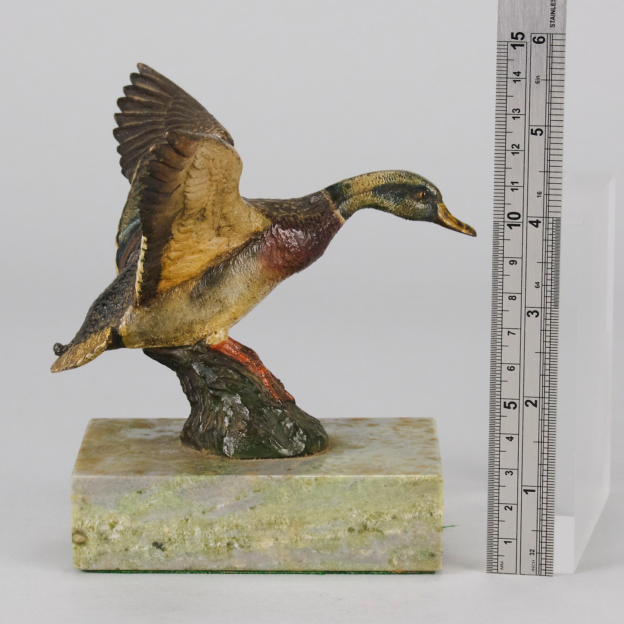 Early 20th Century Cold-Painted Austrian Bronze Flying Duck For Sale 6