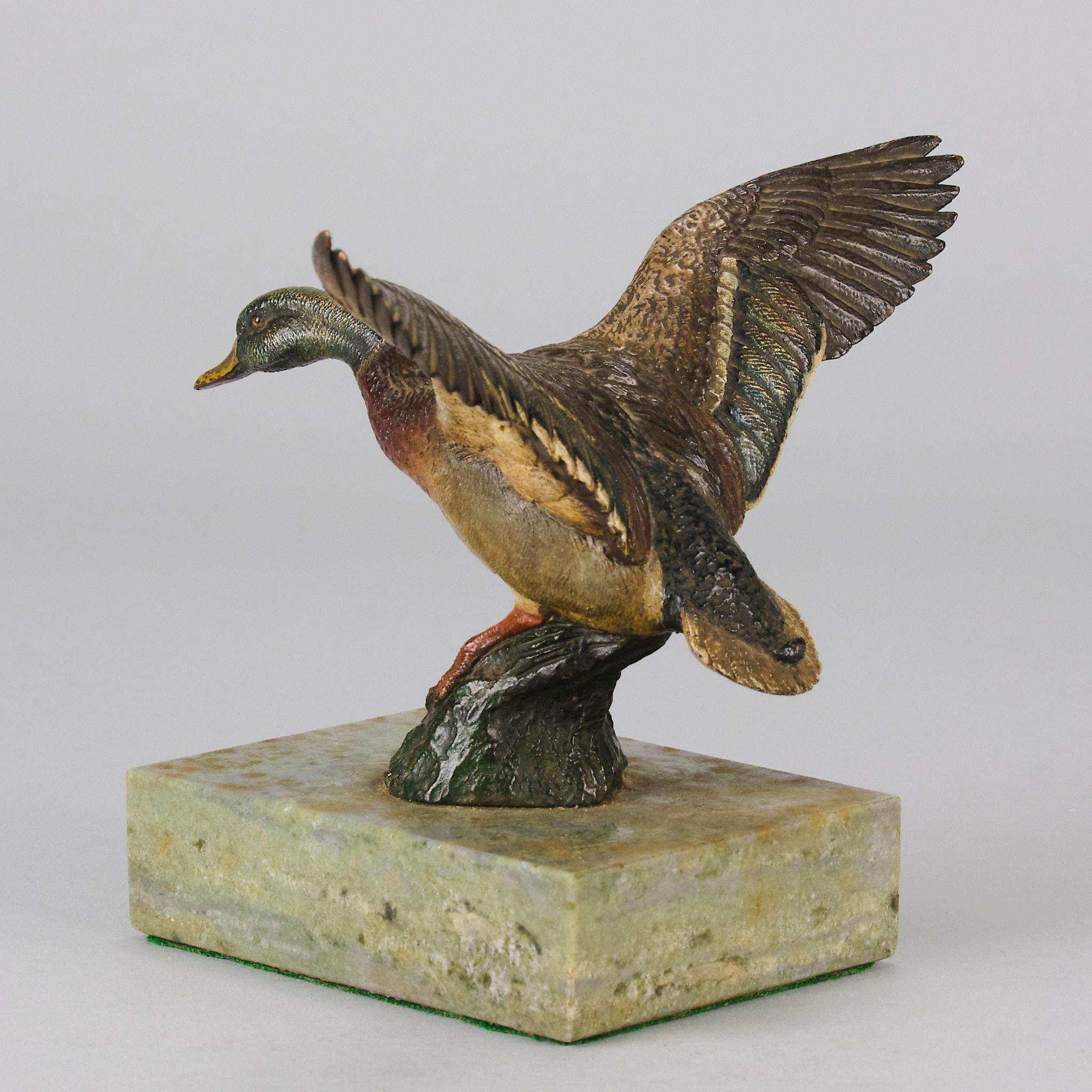 Early 20th Century Cold-Painted Austrian Bronze Flying Duck For Sale 1