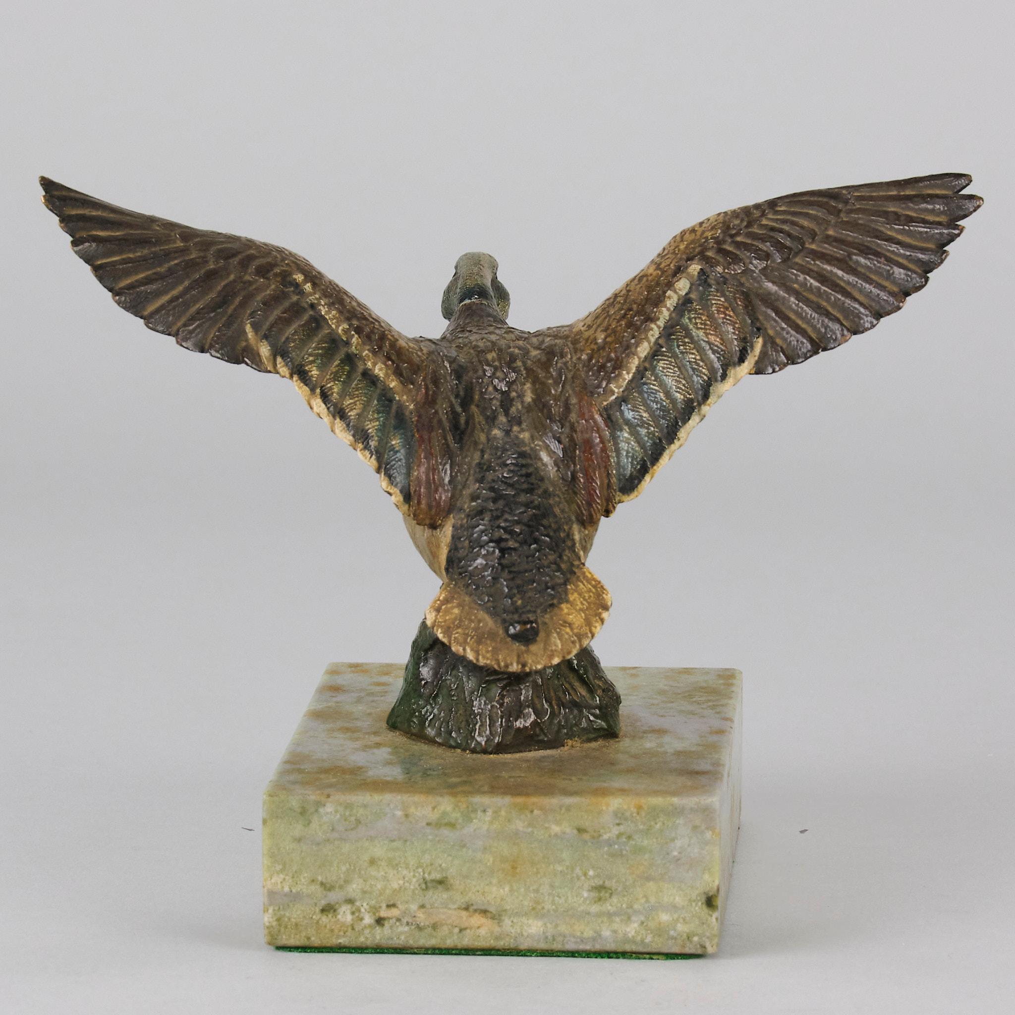 Early 20th Century Cold-Painted Austrian Bronze Flying Duck For Sale 3