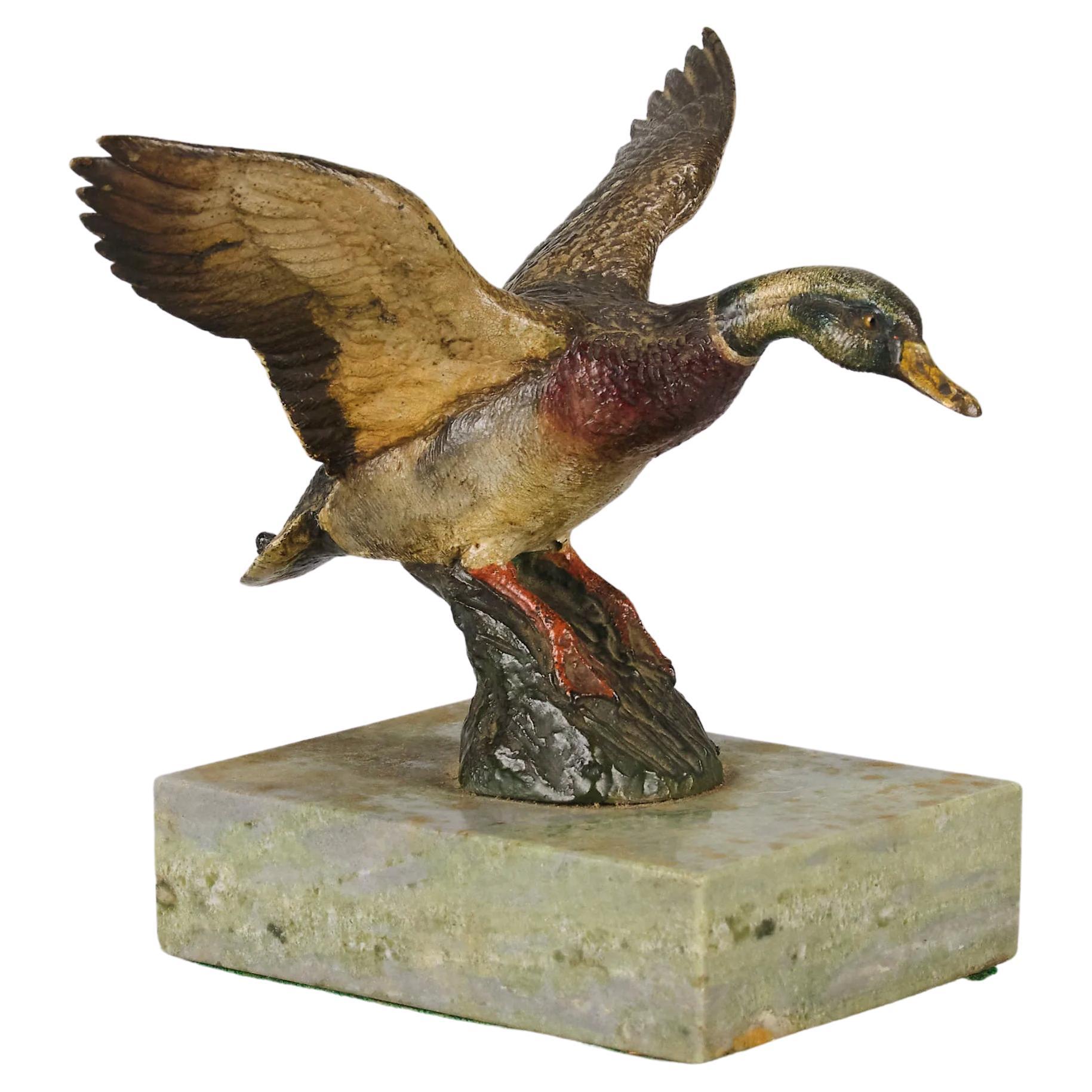 Early 20th Century Cold-Painted Austrian Bronze Flying Duck For Sale