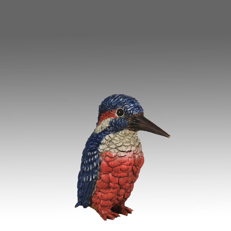 Un eccellente studio in bronzo austriaco dipinto a freddo dei primi del Novecento di un Kingfisher in piedi, con superbi colori naturalistici ed eccellenti dettagli della superficie cesellati a mano, firmato con la lettera 
