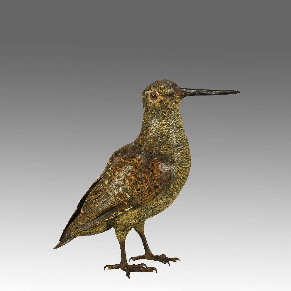 Un eccellente studio in bronzo austriaco dipinto a freddo dell'inizio del XX secolo raffigurante una beccaccia in piedi. Il bronzo ha un eccellente colore naturalistico vibrante e un eccezionale dettaglio superficiale rifinito a mano, firmato con la