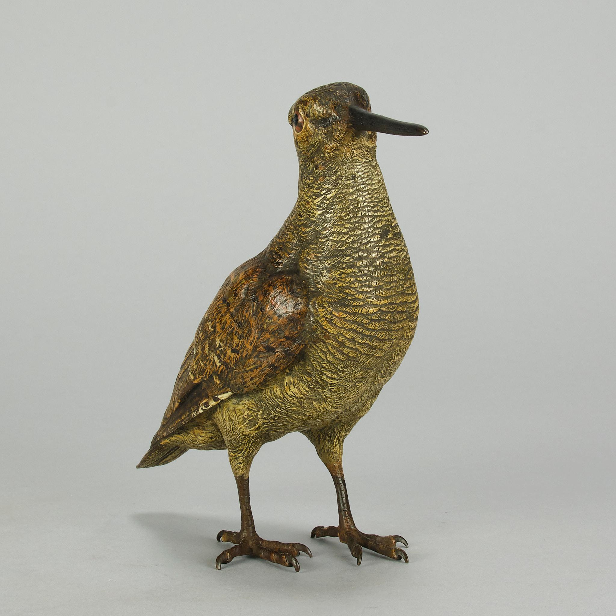 Austriaco Beccaccia austriaca dei primi del Novecento, dipinta a freddo, di Franz Bergman in vendita